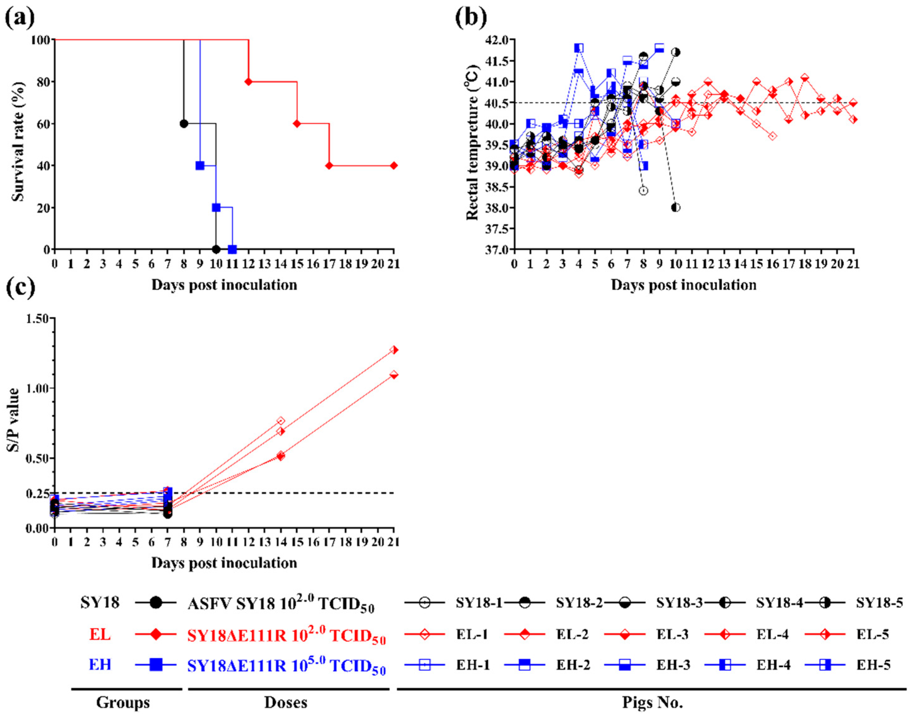 Viruses 15 00890 g004 Viruses 15 00890 g004