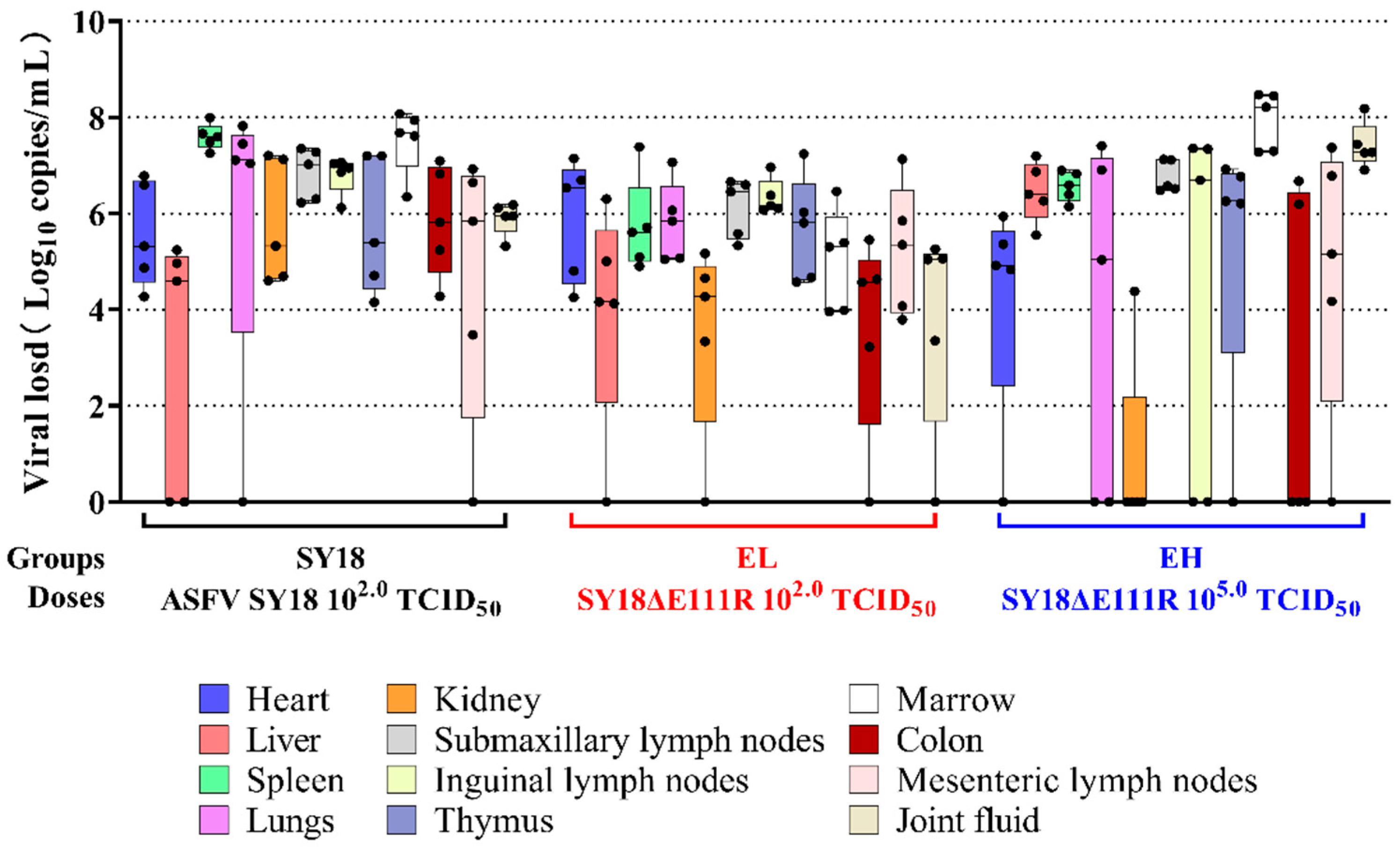 Viruses 15 00890 g005 Viruses 15 00890 g005