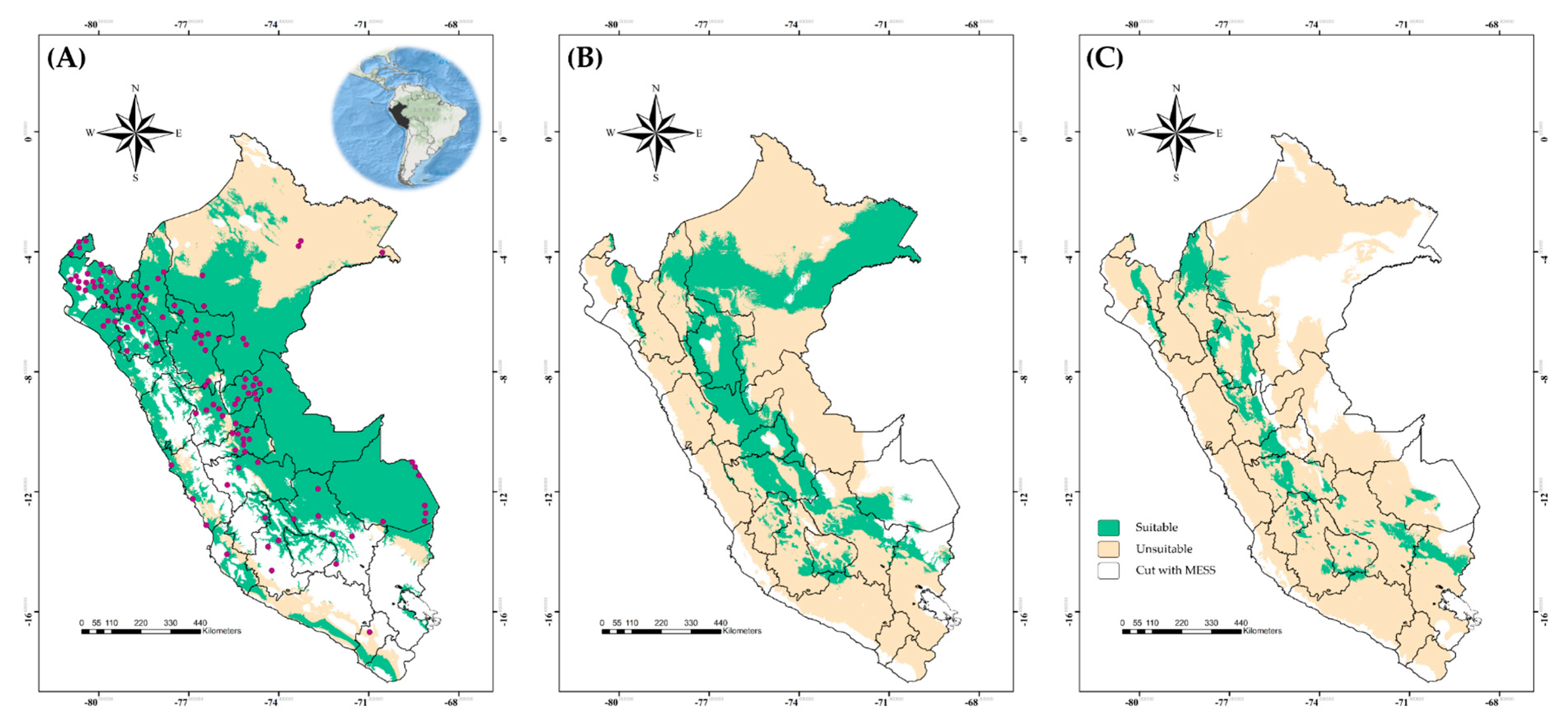 Viruses 15 00892 g001 Viruses 15 00892 g001