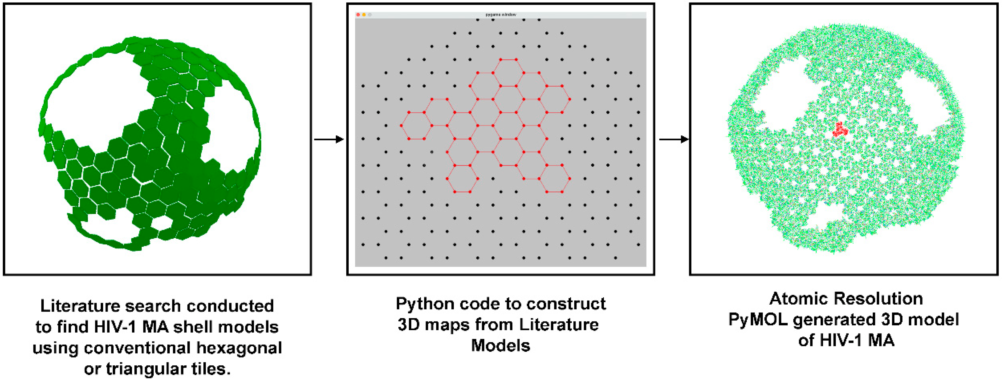 Viruses 15 00893 g001 Viruses 15 00893 g001