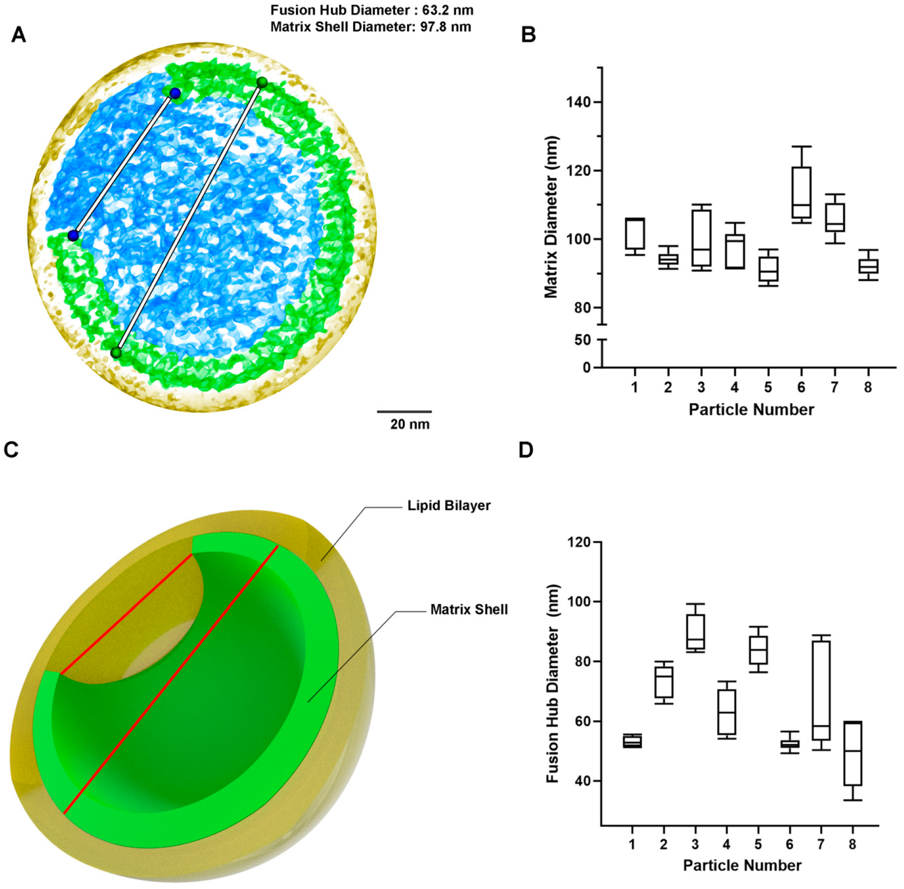 Viruses 15 00893 g003 Viruses 15 00893 g003