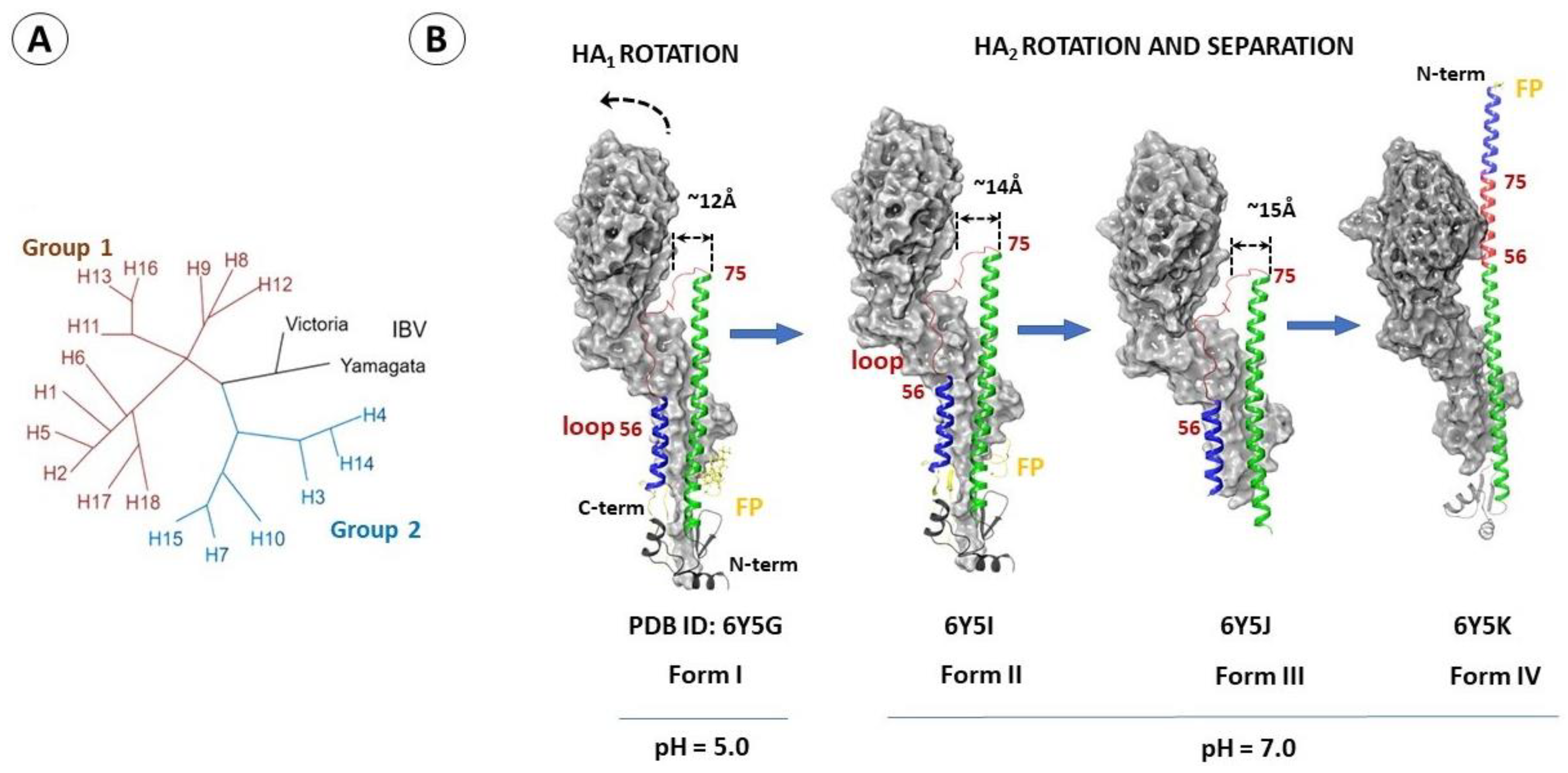 Viruses 15 00902 g003