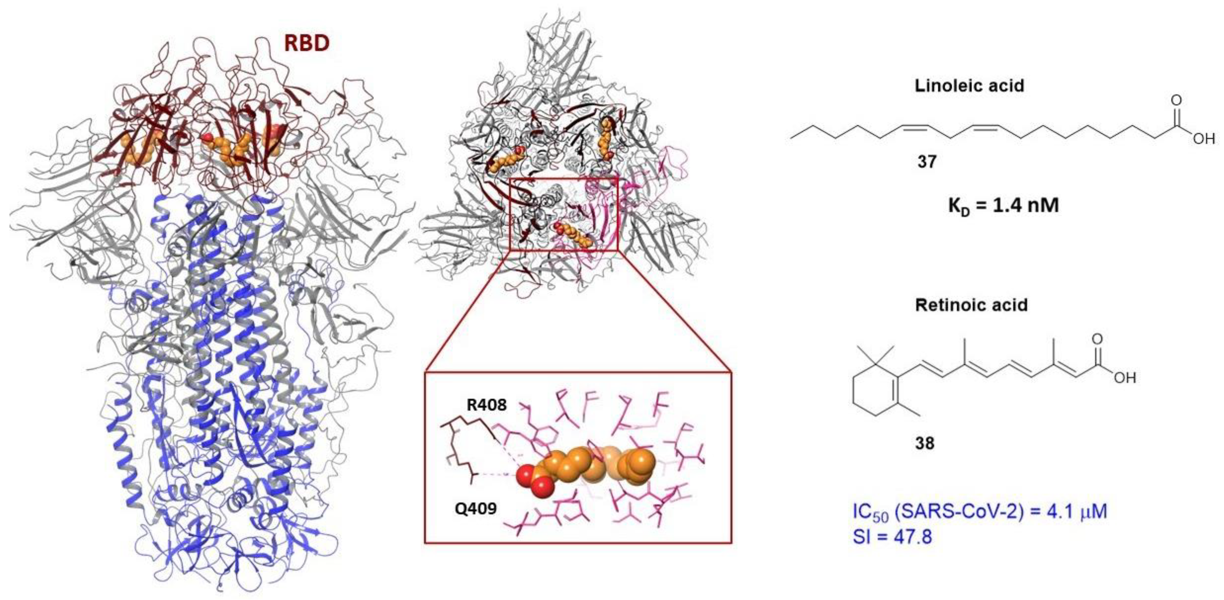 Viruses 15 00902 g013