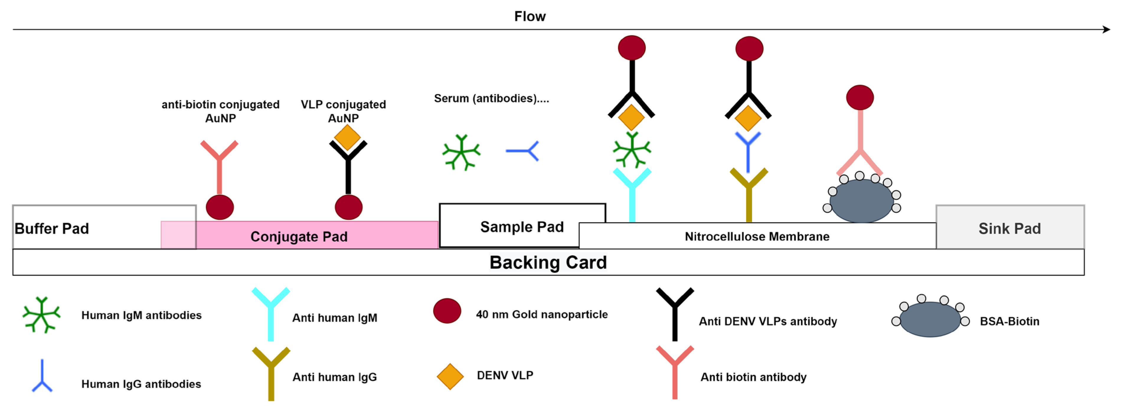 competitive-elisa-for-a-serologic-test-to-detect-dengue-51-off