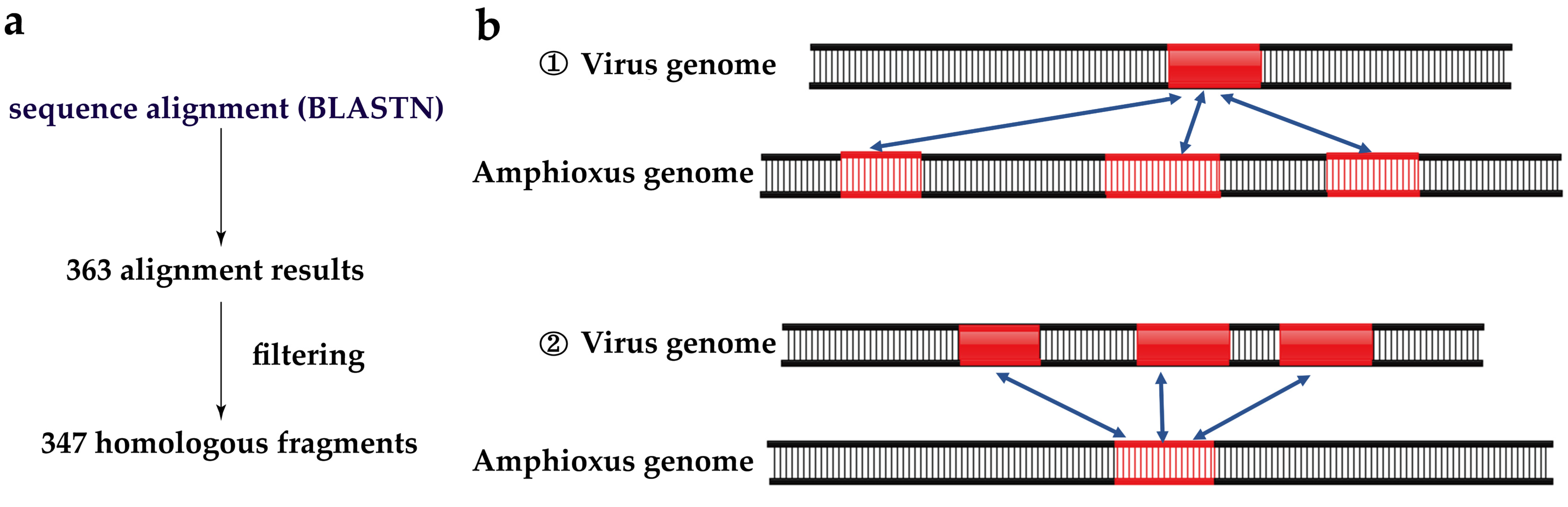 Viruses 15 00909 g001