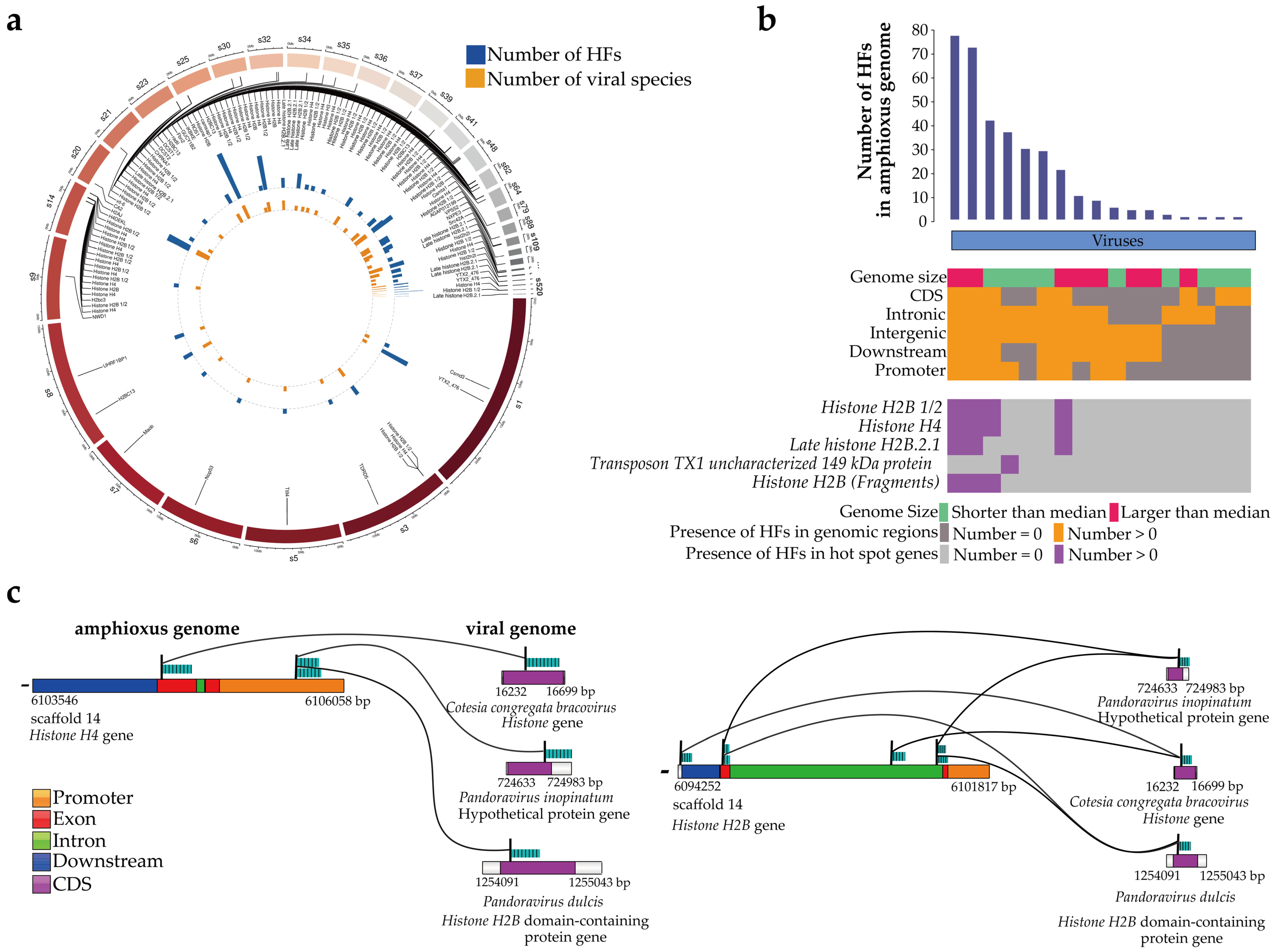 Viruses 15 00909 g004