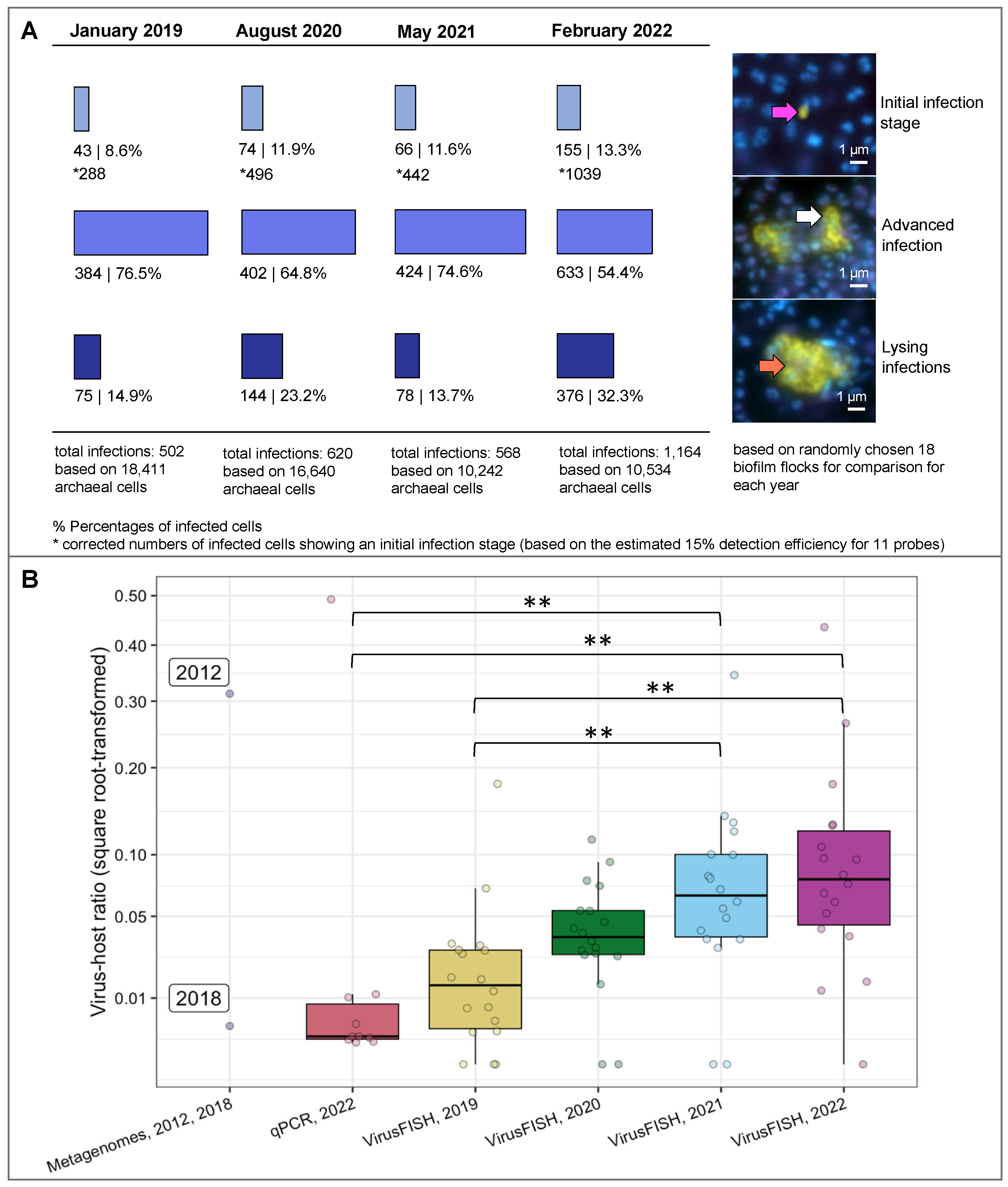 Viruses 15 00910 g001 Viruses 15 00910 g001