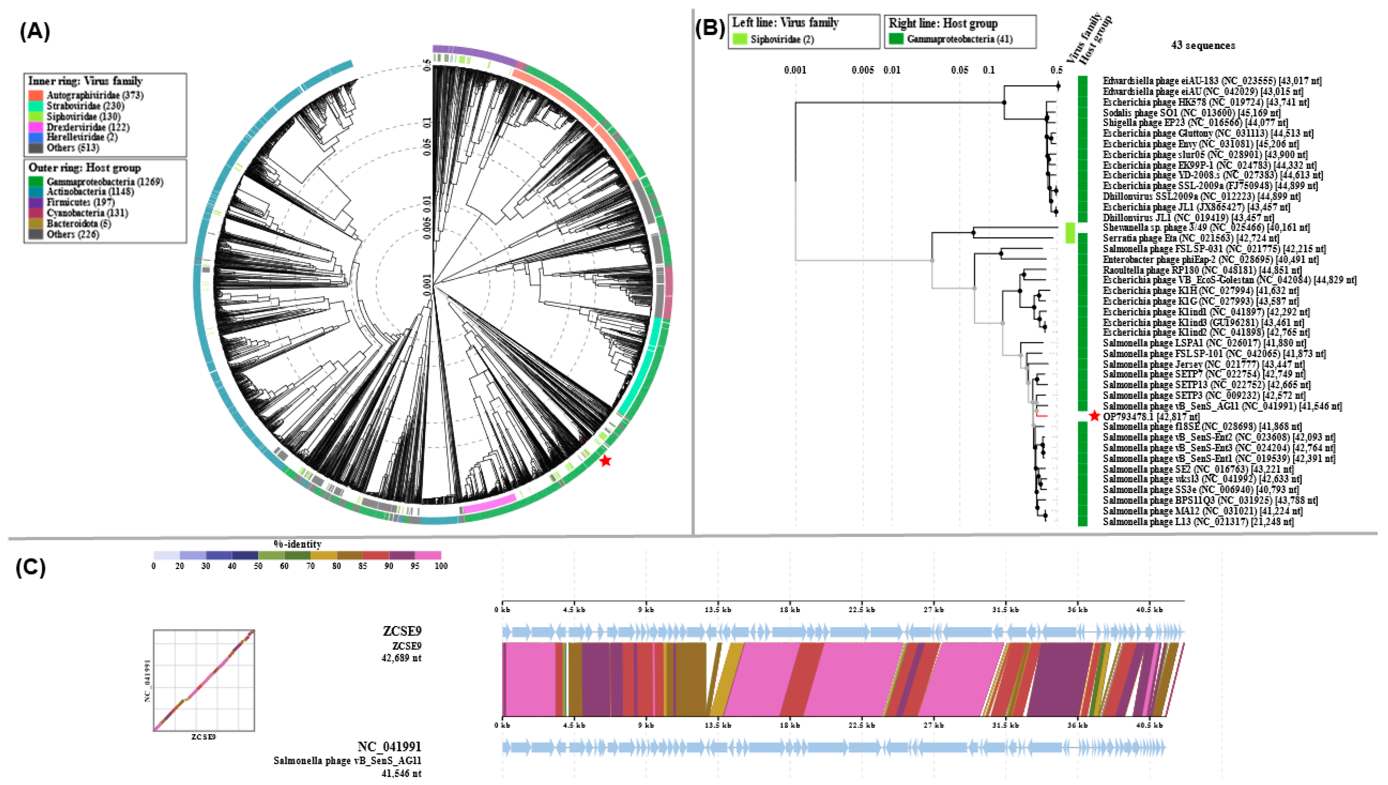 Viruses 15 00912 g006 Viruses 15 00912 g006