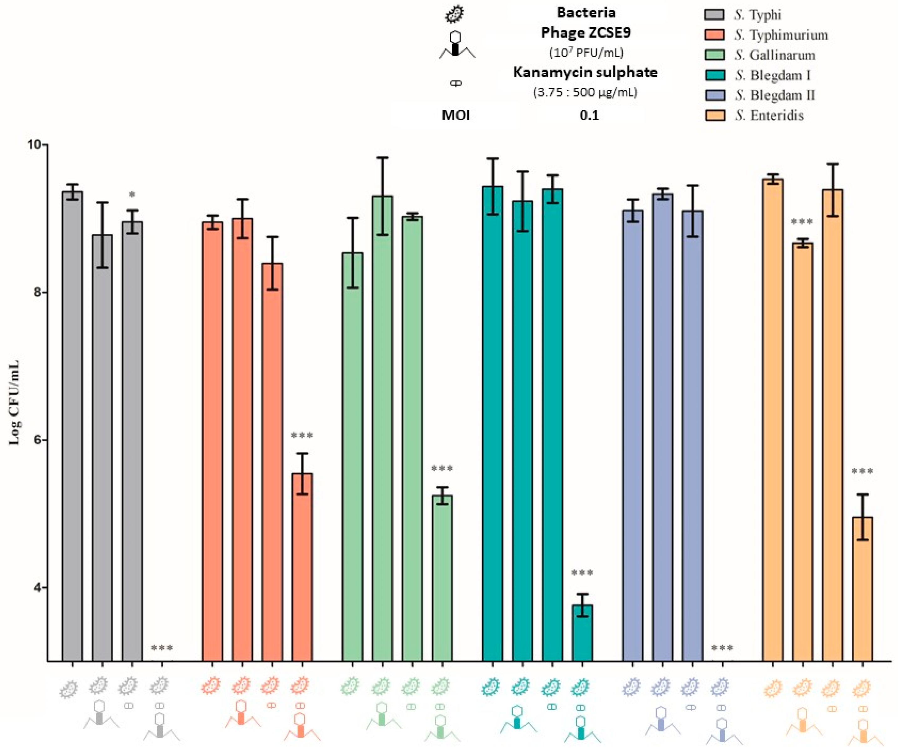 Viruses 15 00912 g008 Viruses 15 00912 g008
