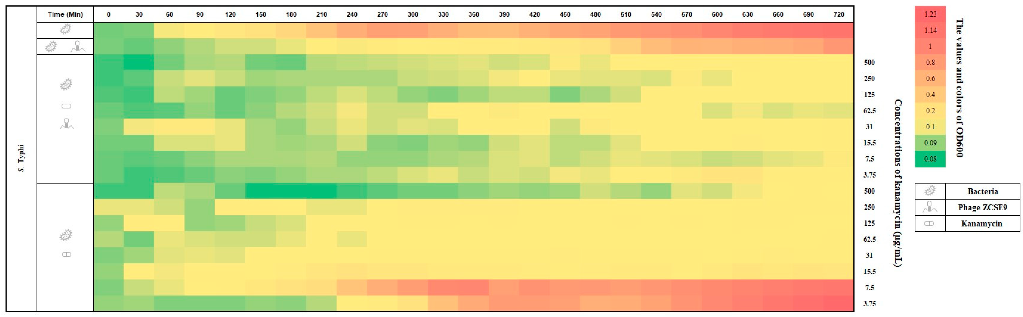 Viruses 15 00912 g009 Viruses 15 00912 g009