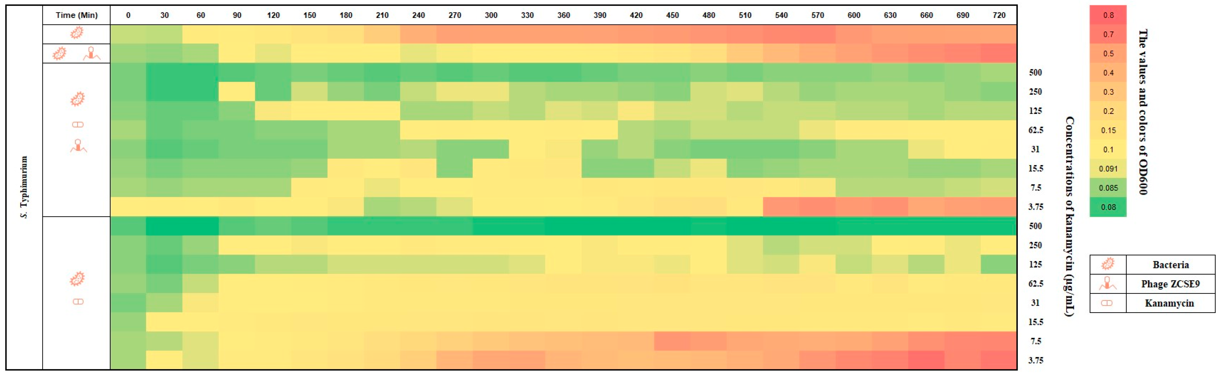 Viruses 15 00912 g010 Viruses 15 00912 g010