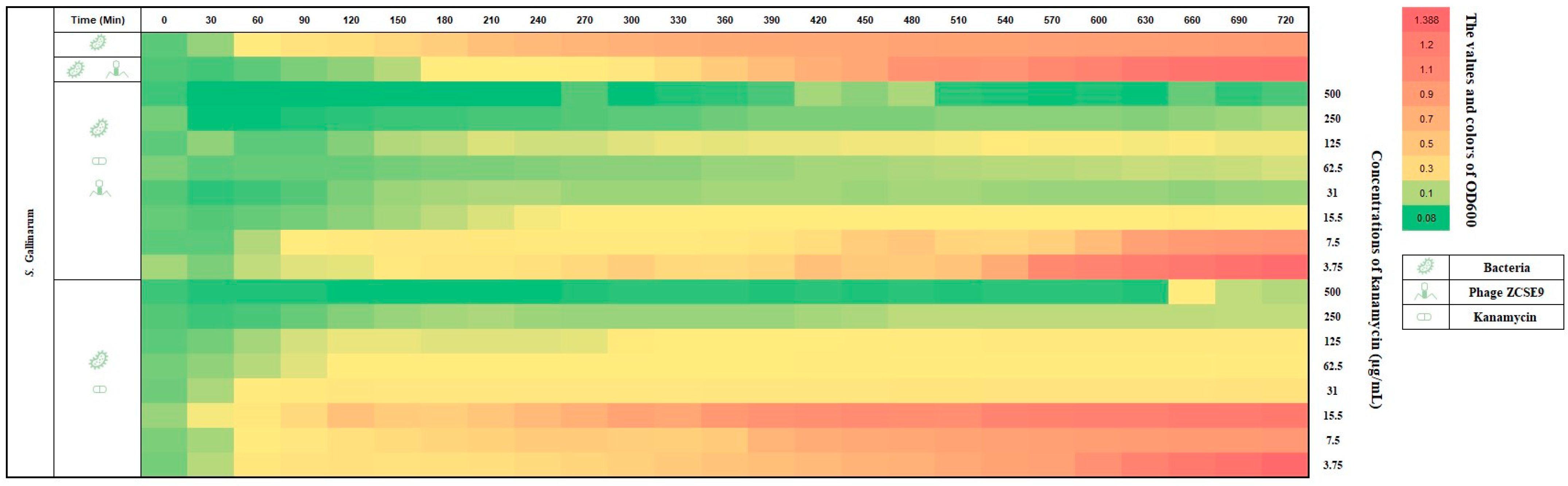 Viruses 15 00912 g011 Viruses 15 00912 g011