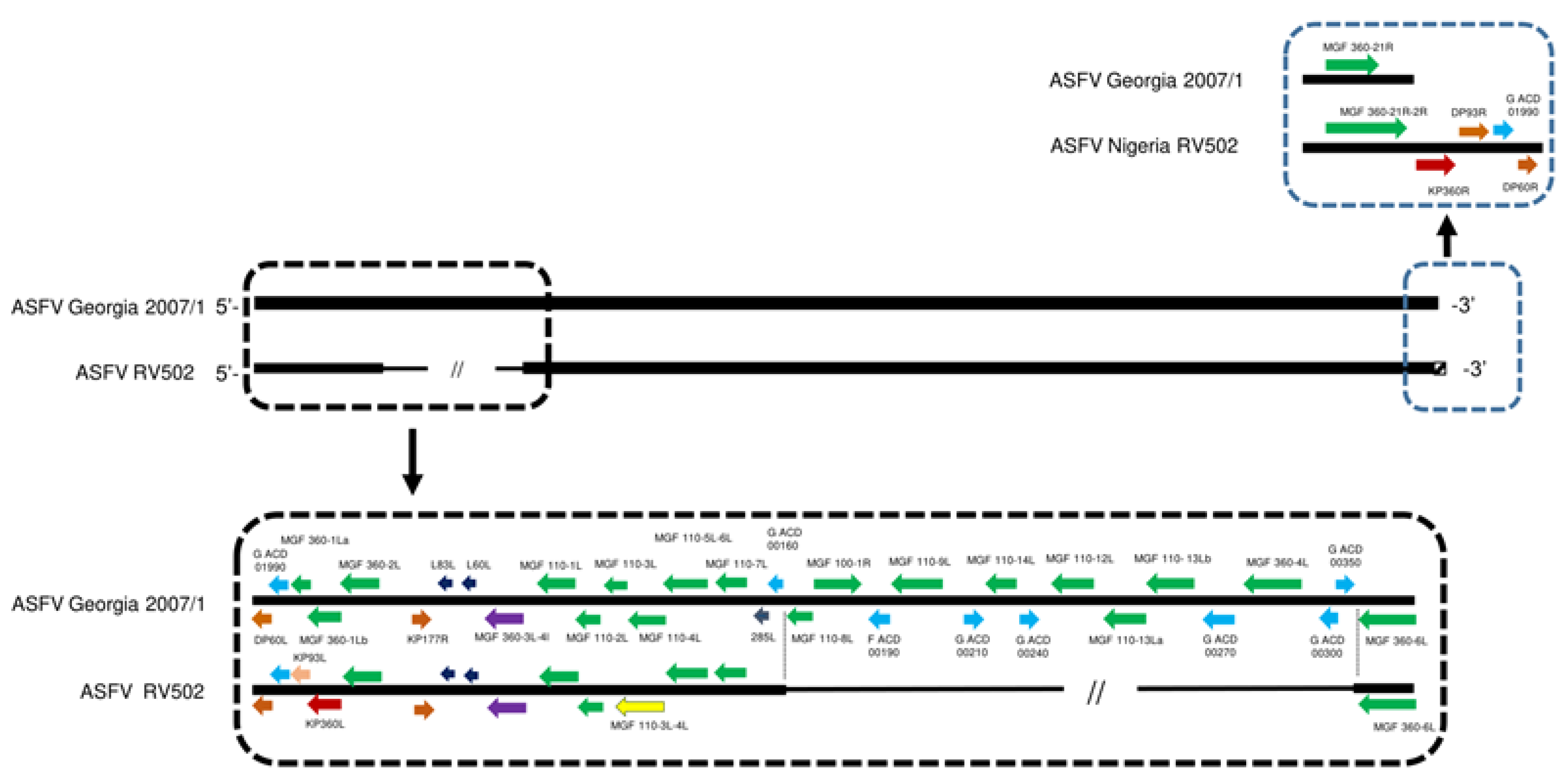 Viruses 15 00915 g002 Viruses 15 00915 g002