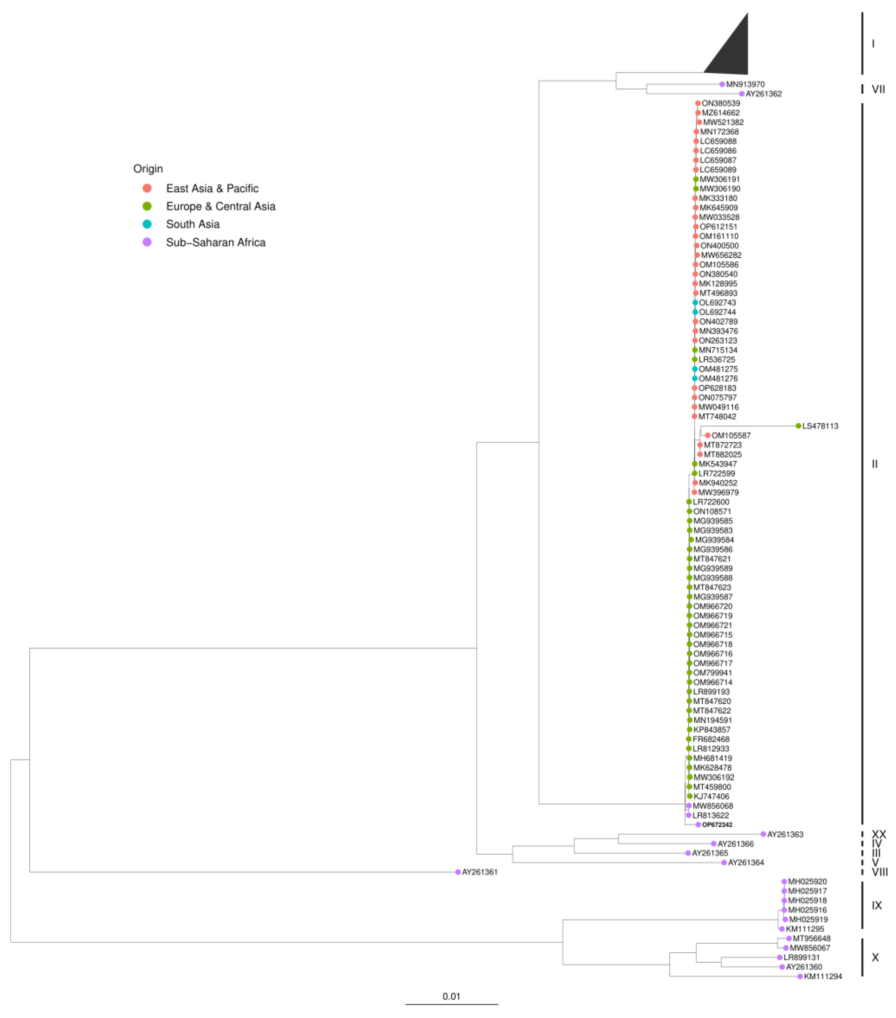 Viruses 15 00915 g003 Viruses 15 00915 g003
