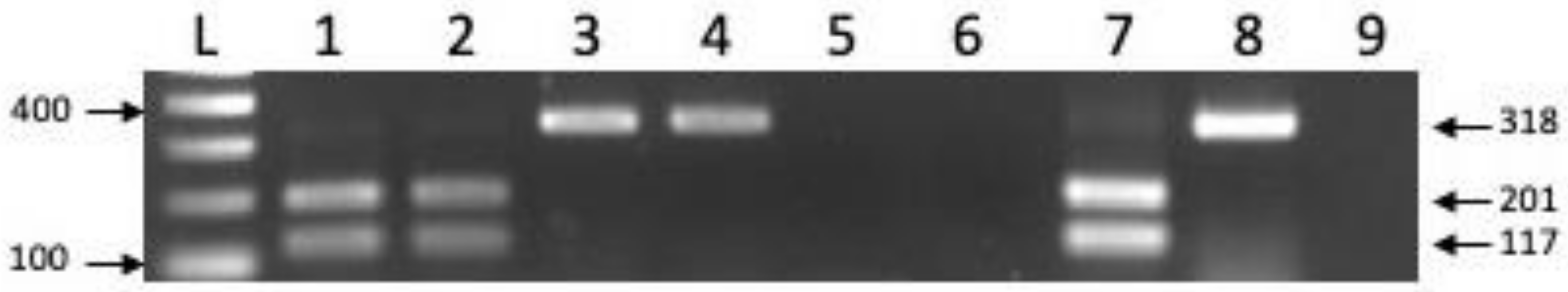 Viruses 15 00927 g002 Viruses 15 00927 g002