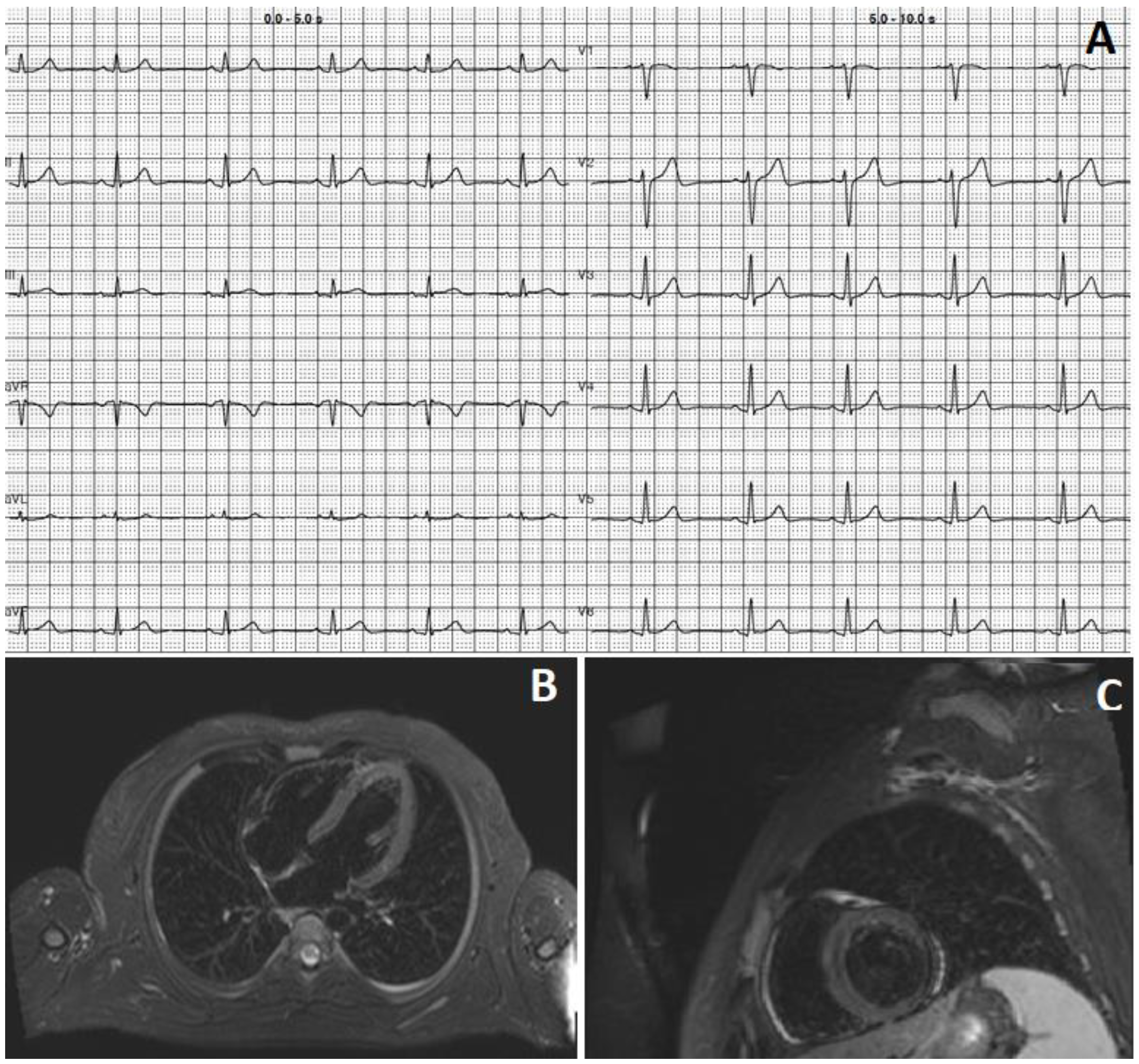 Viruses 15 00929 g001