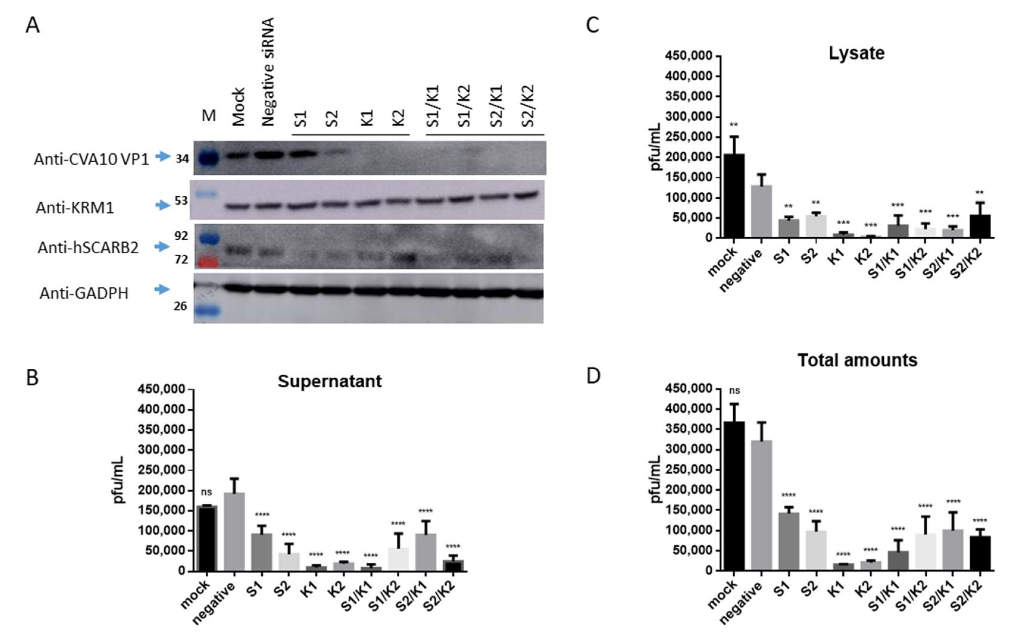 Viruses 15 00932 g003 Viruses 15 00932 g003
