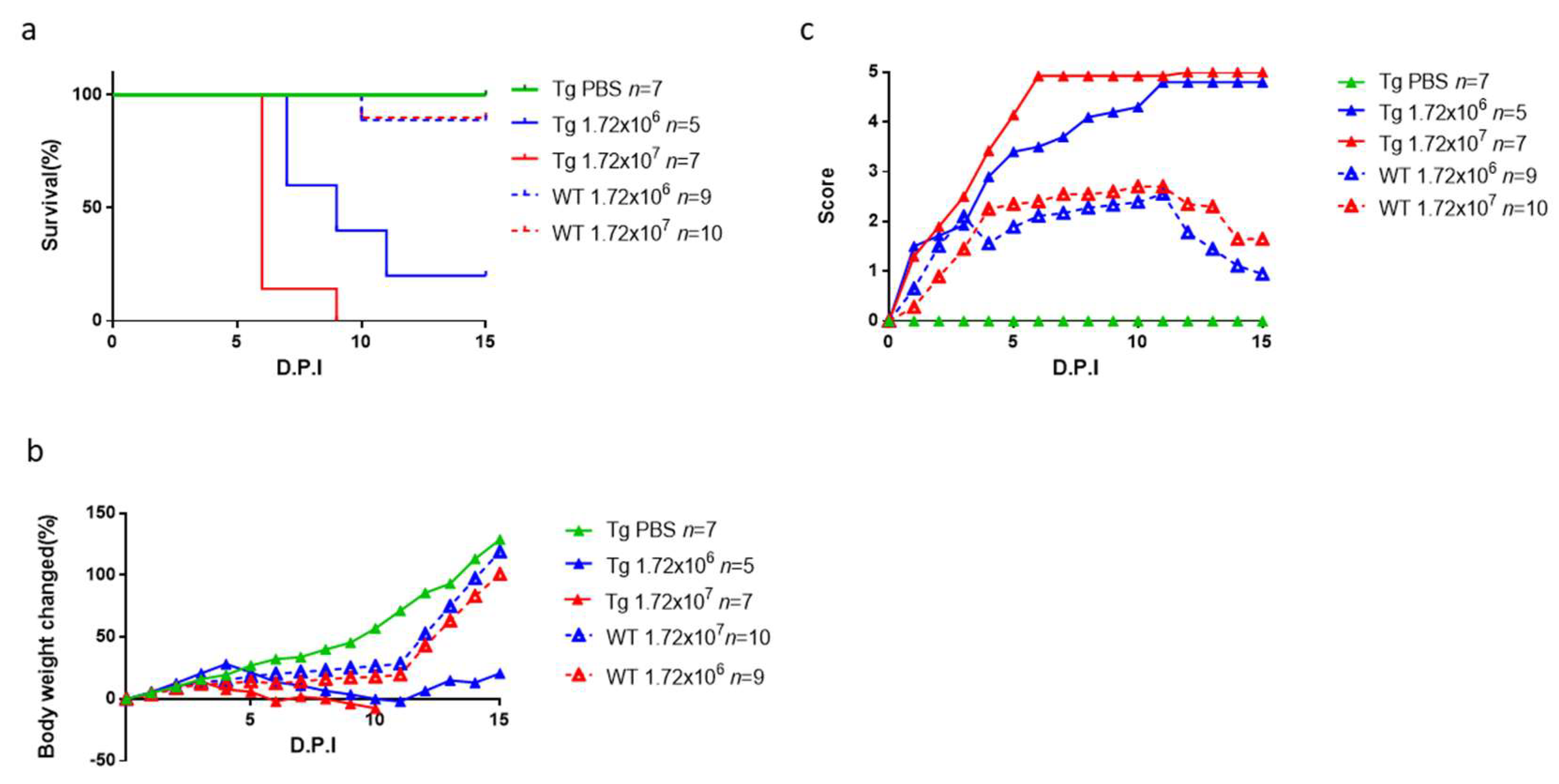 Viruses 15 00932 g004 Viruses 15 00932 g004