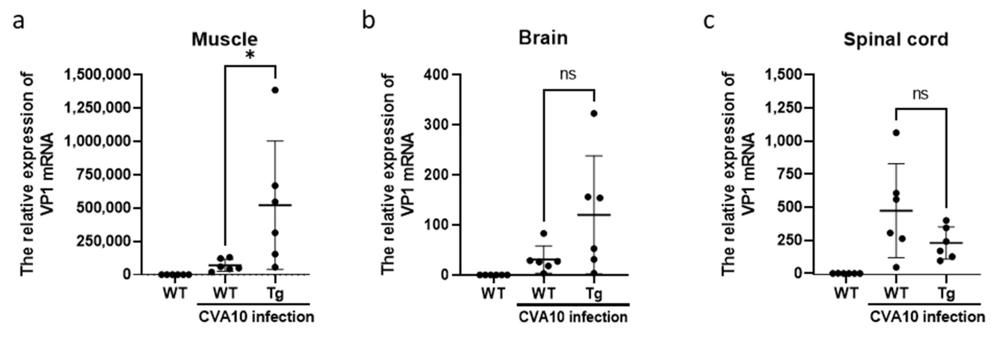 Viruses 15 00932 g005 Viruses 15 00932 g005