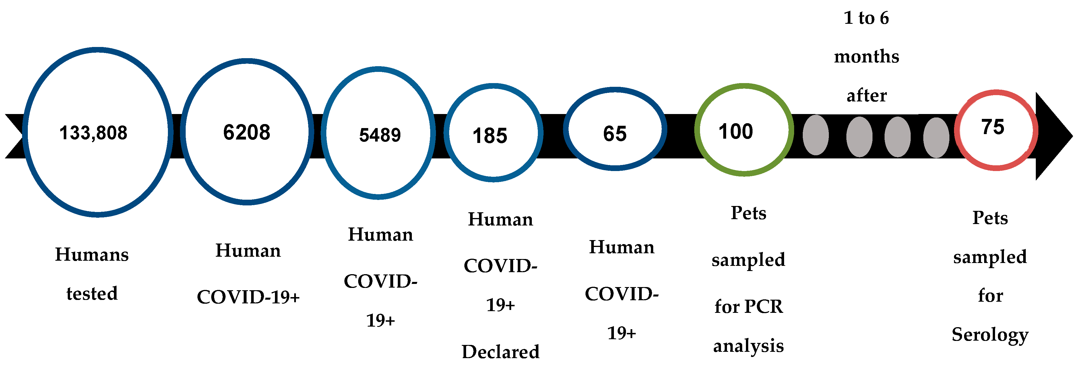 Viruses 15 00933 g002