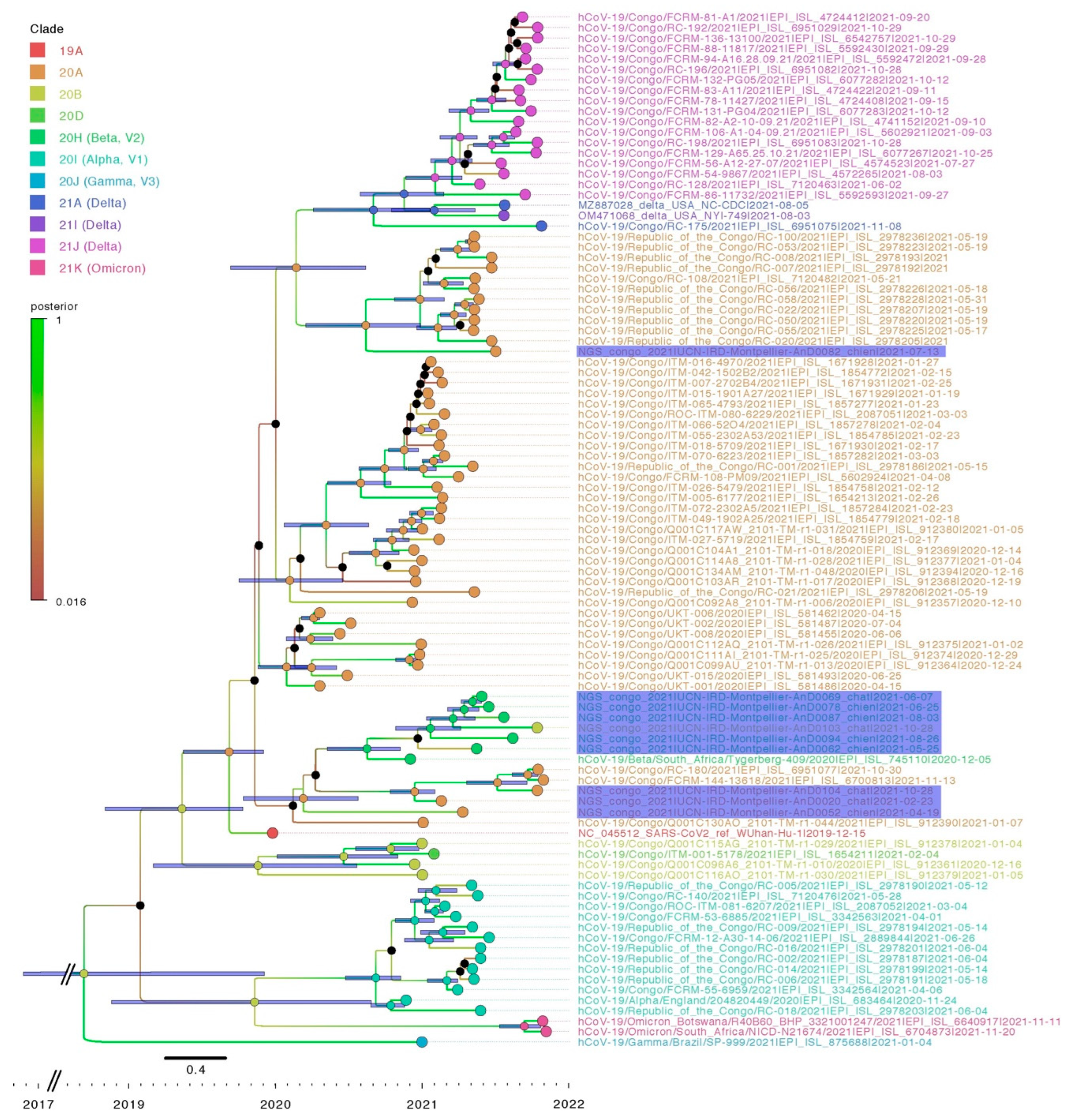 Viruses 15 00933 g004