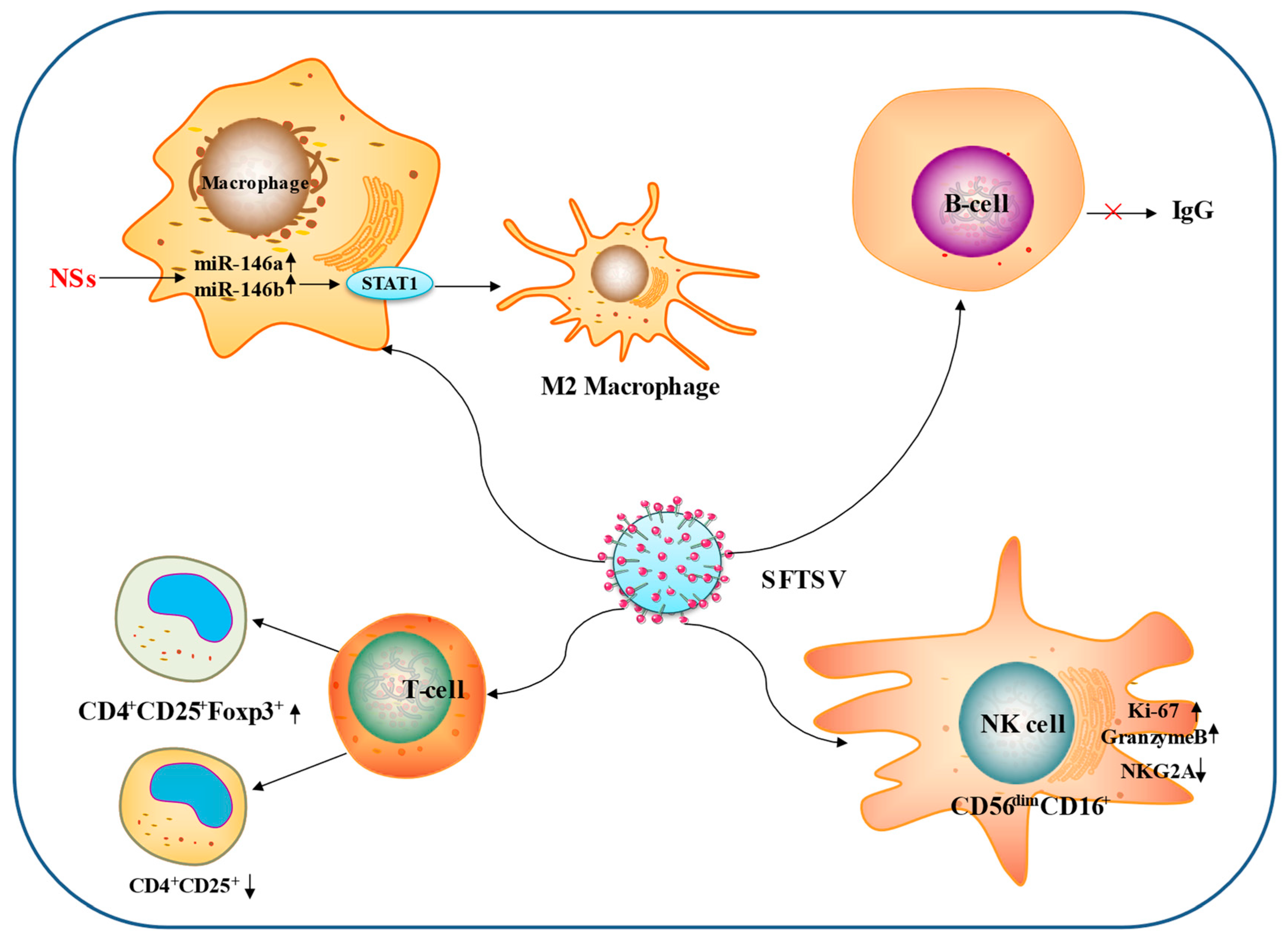 Viruses 15 00940 g003