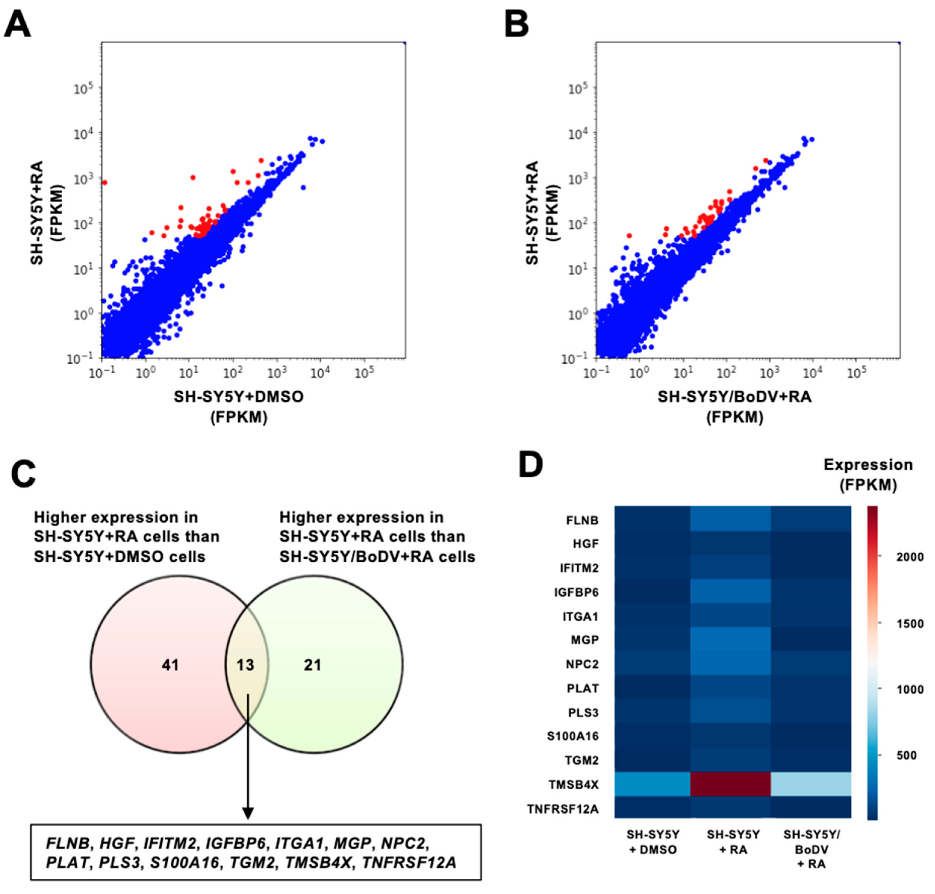 Viruses 15 00942 g002