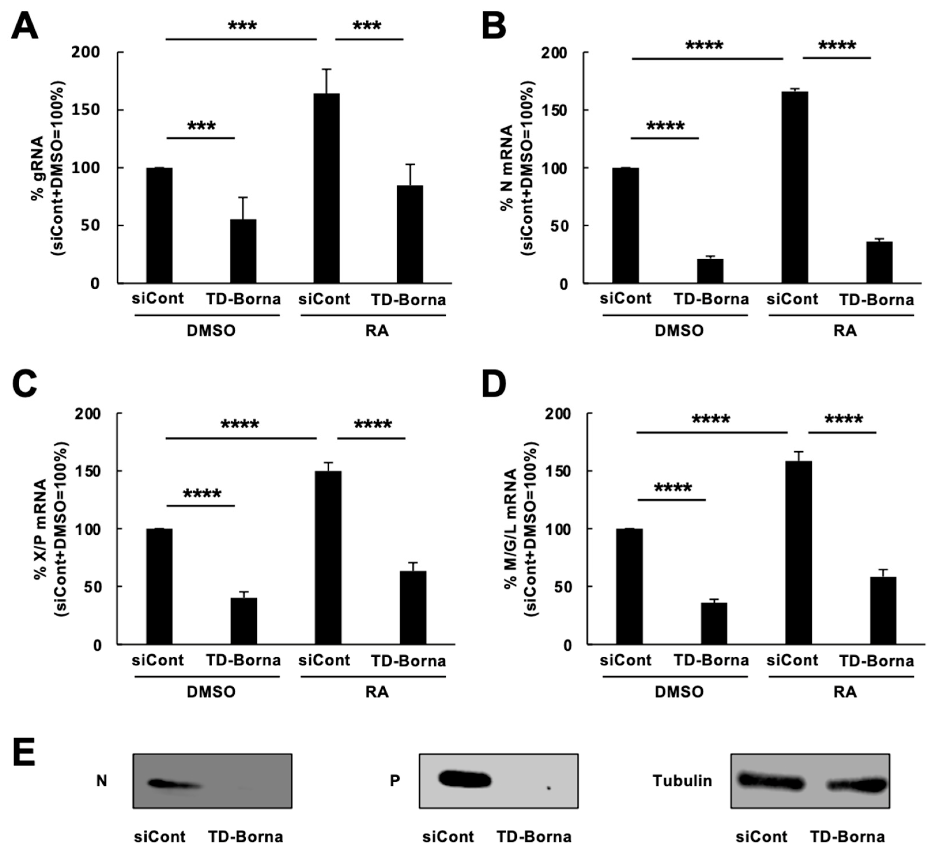 Viruses 15 00942 g003