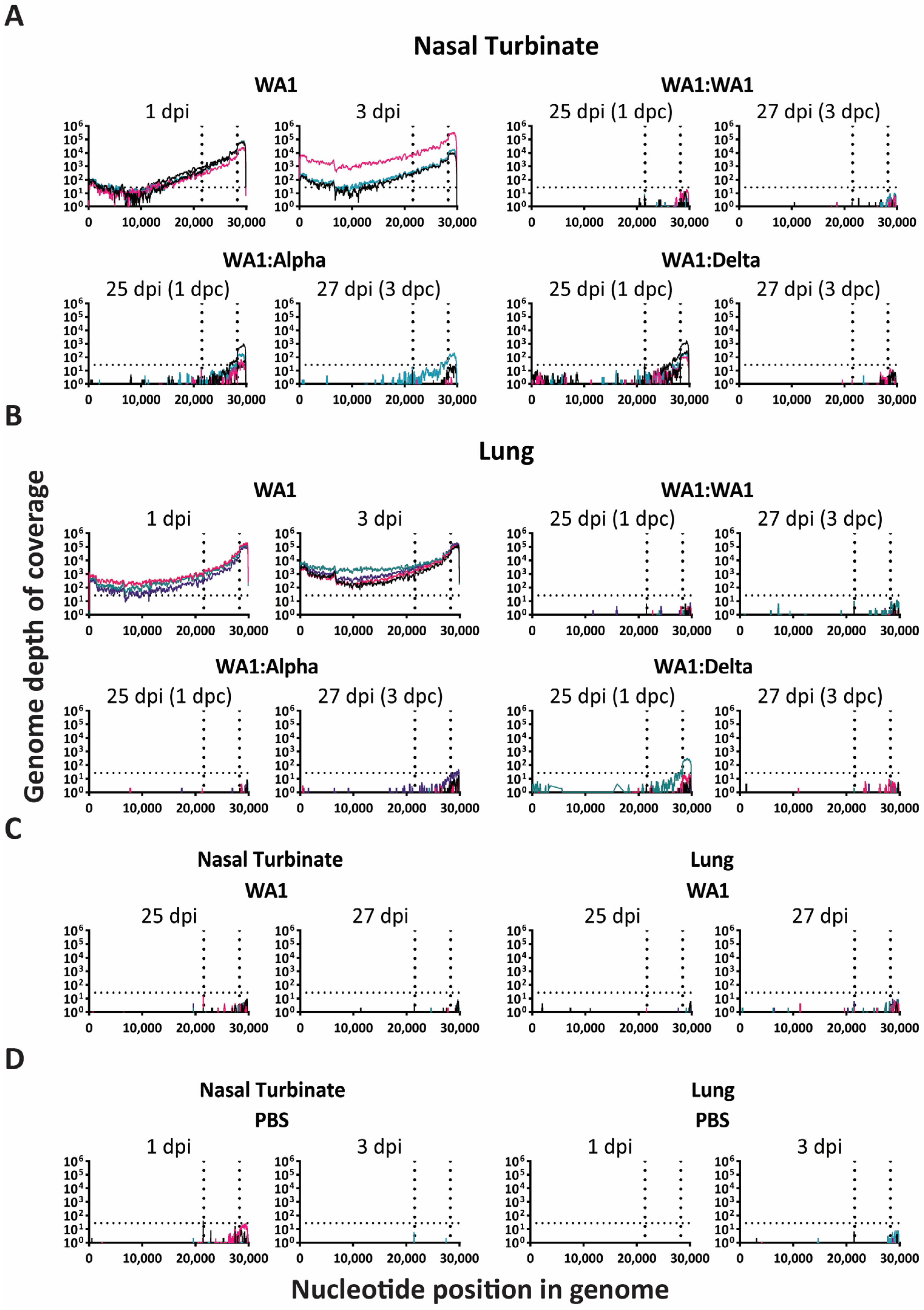 Viruses 15 00946 g003