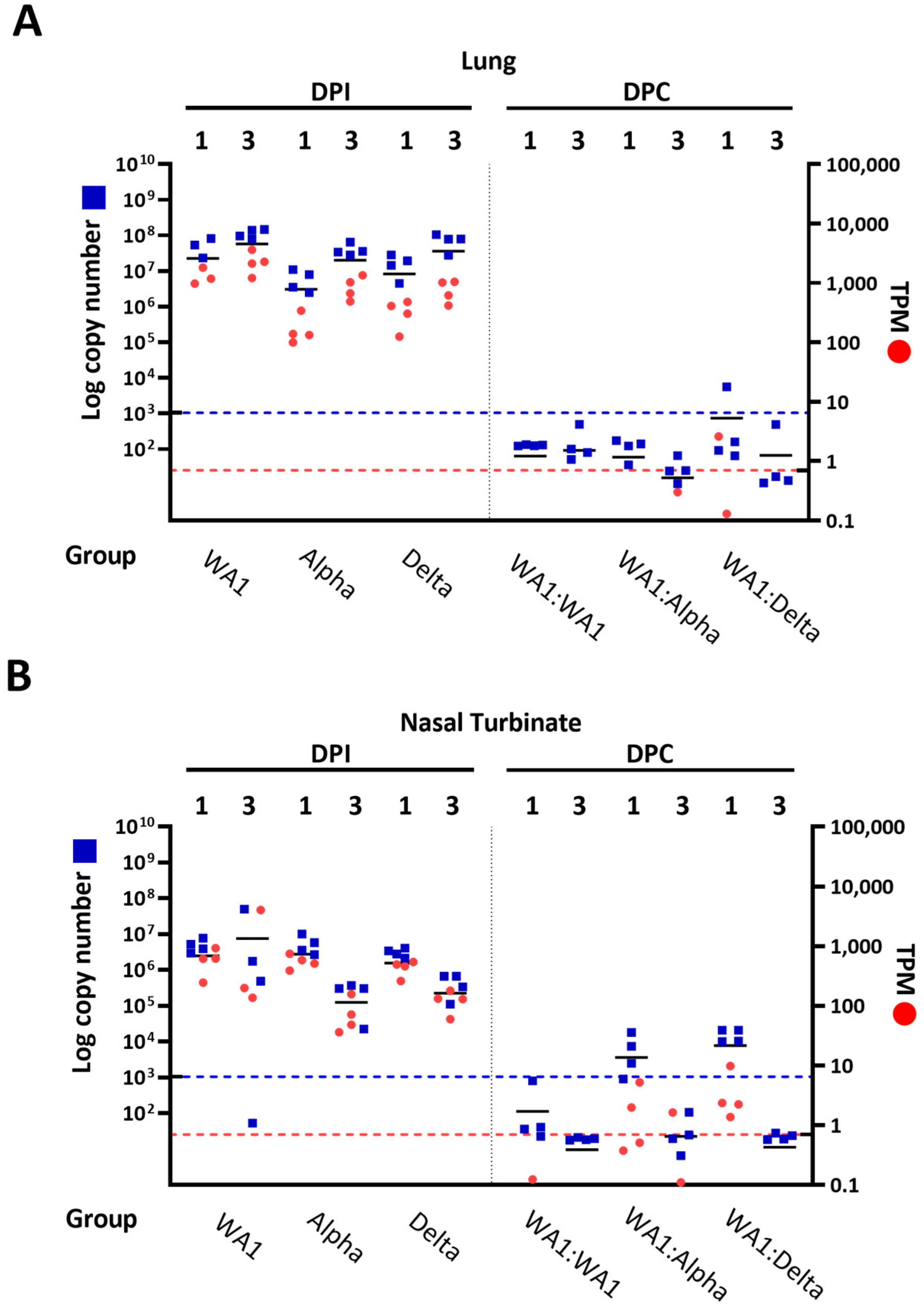 Viruses 15 00946 g004