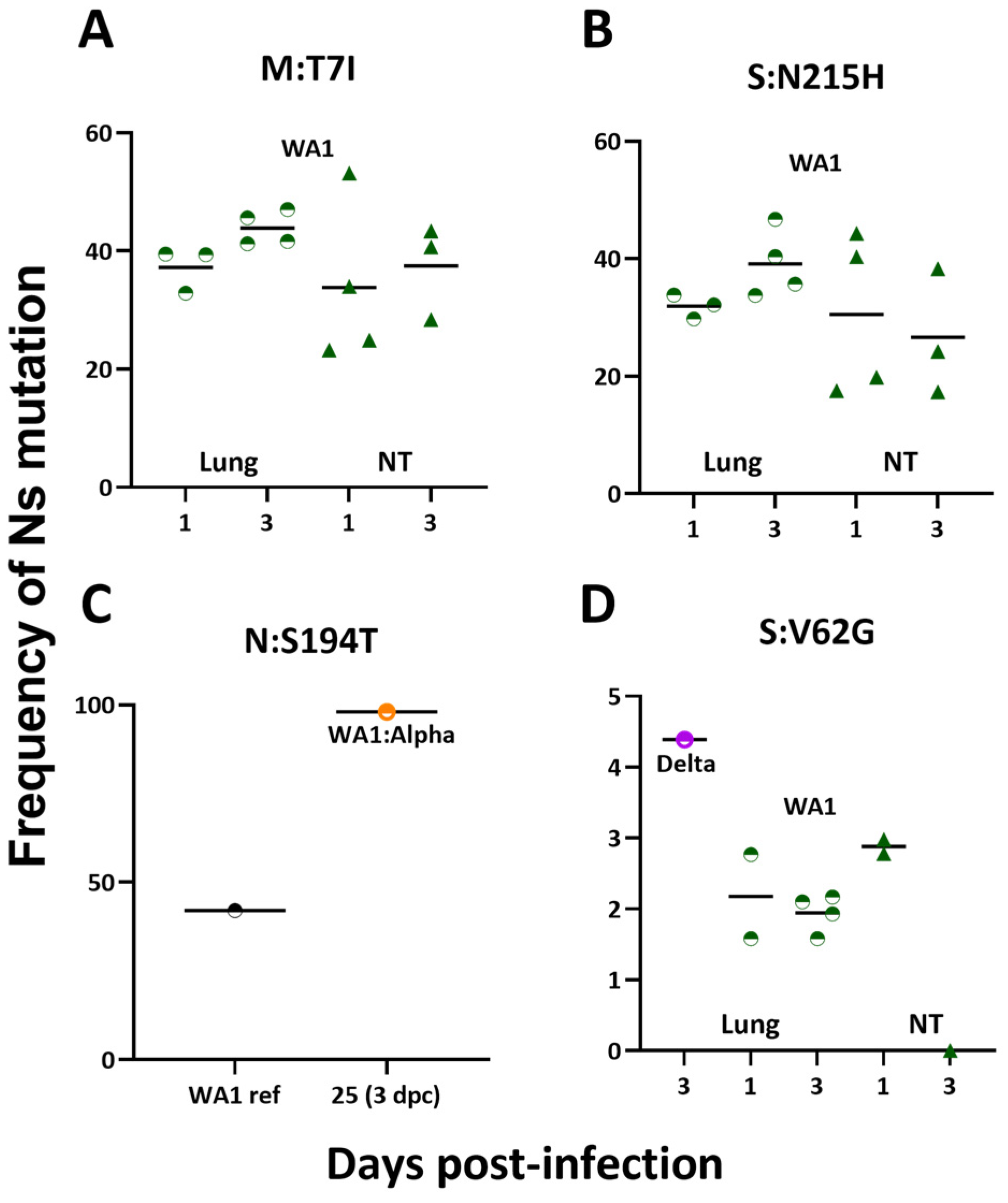 Viruses 15 00946 g005