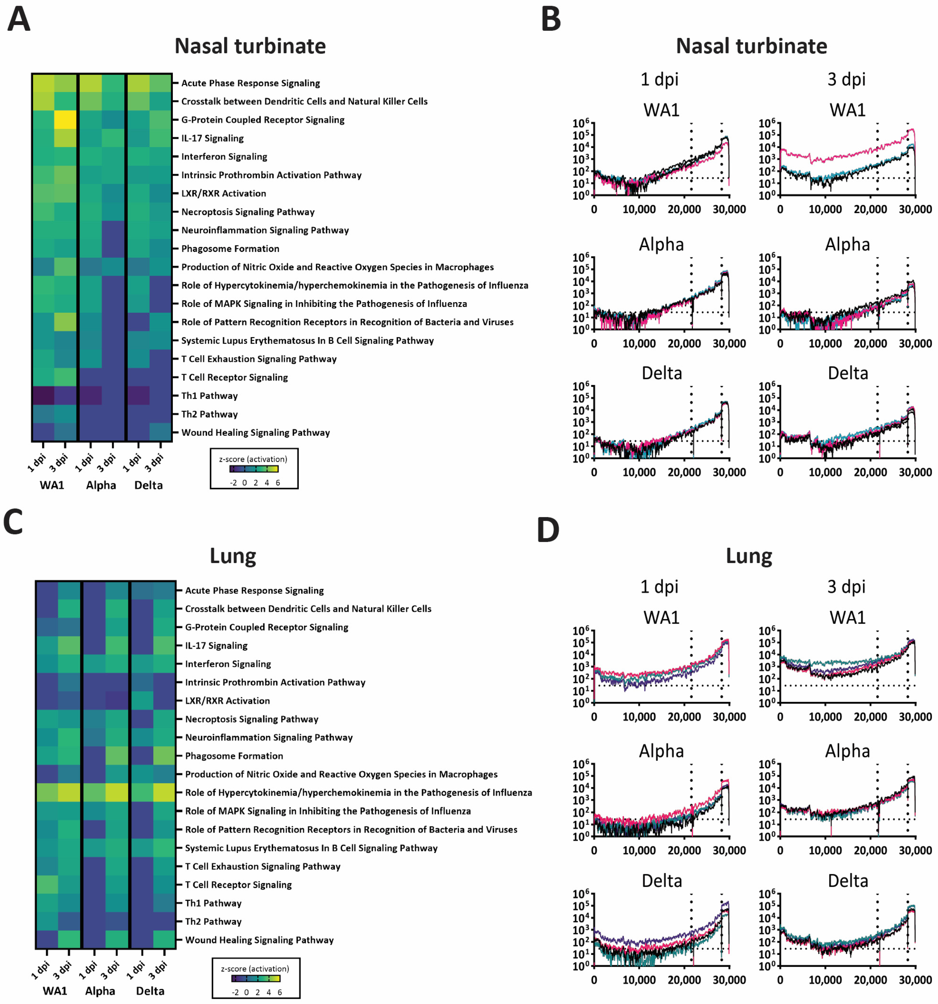 Viruses 15 00946 g006