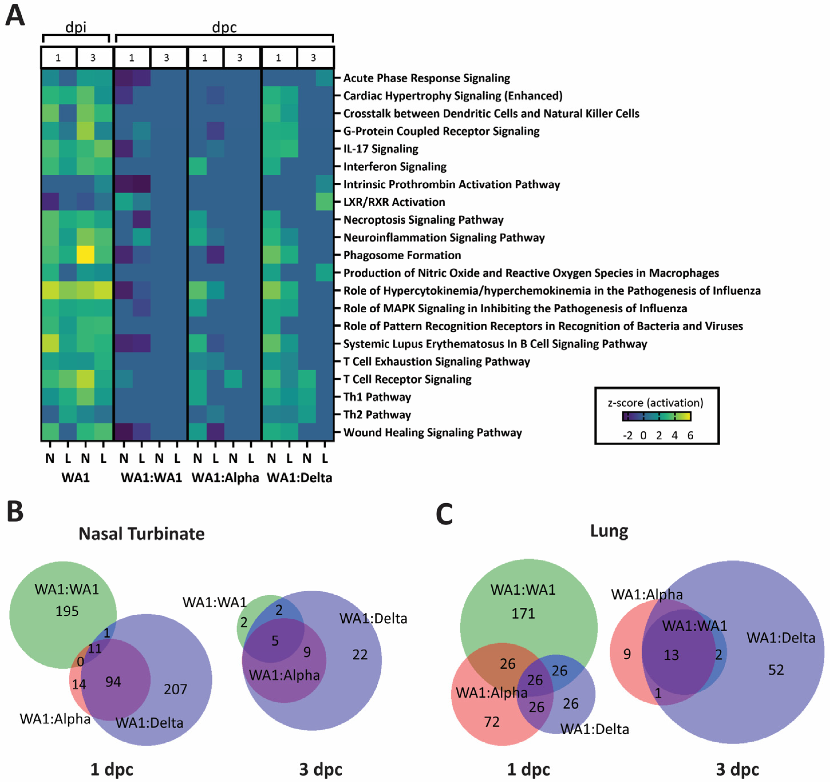 Viruses 15 00946 g007