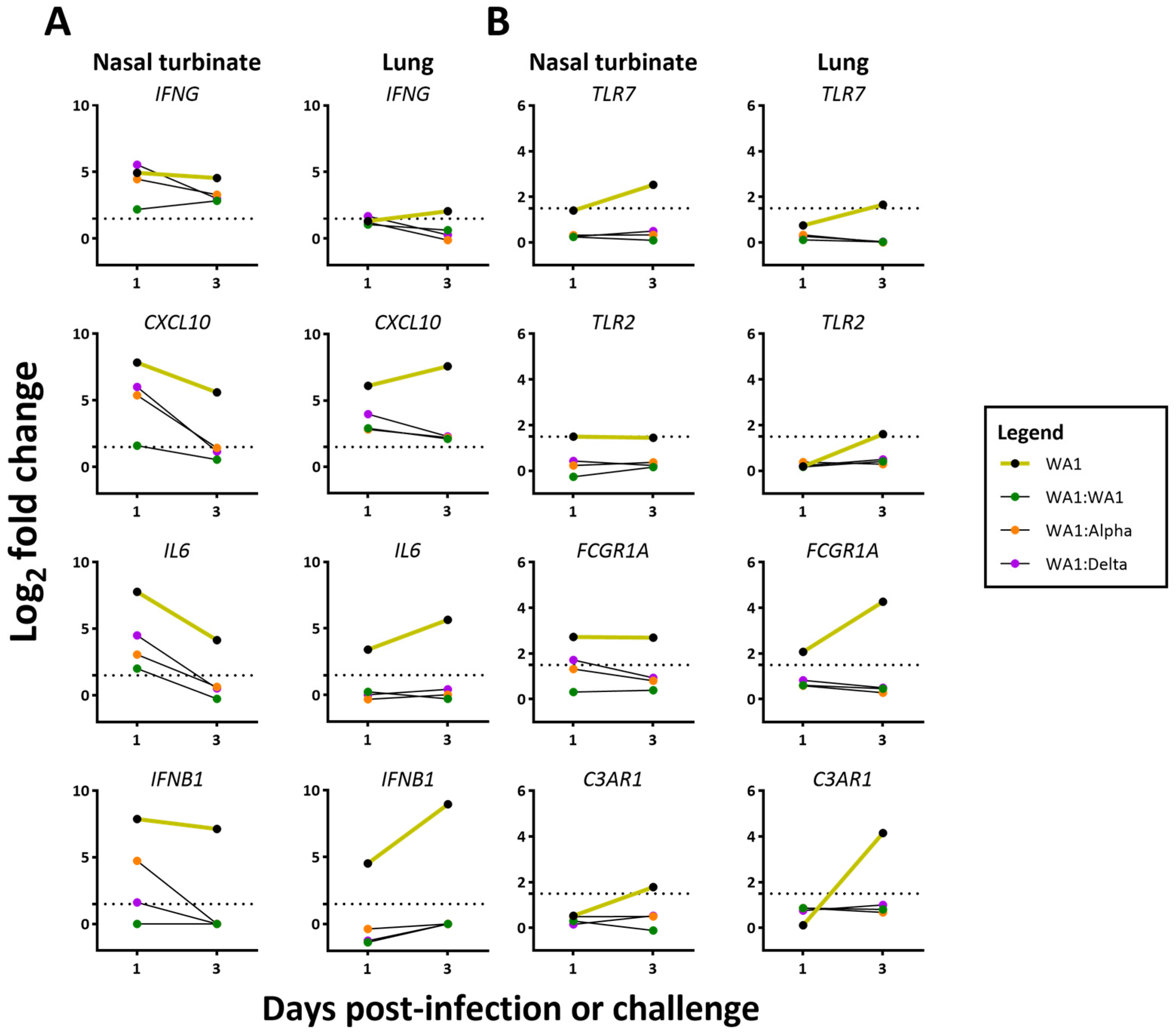 Viruses 15 00946 g008