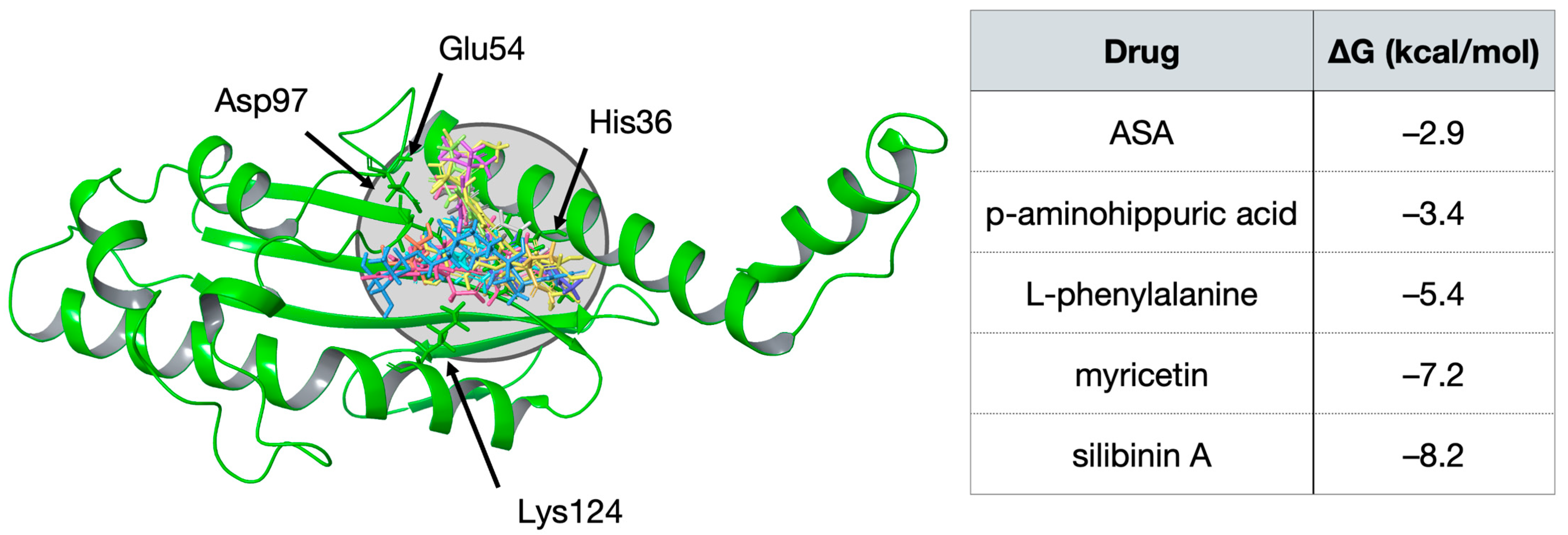Viruses 15 00948 g001