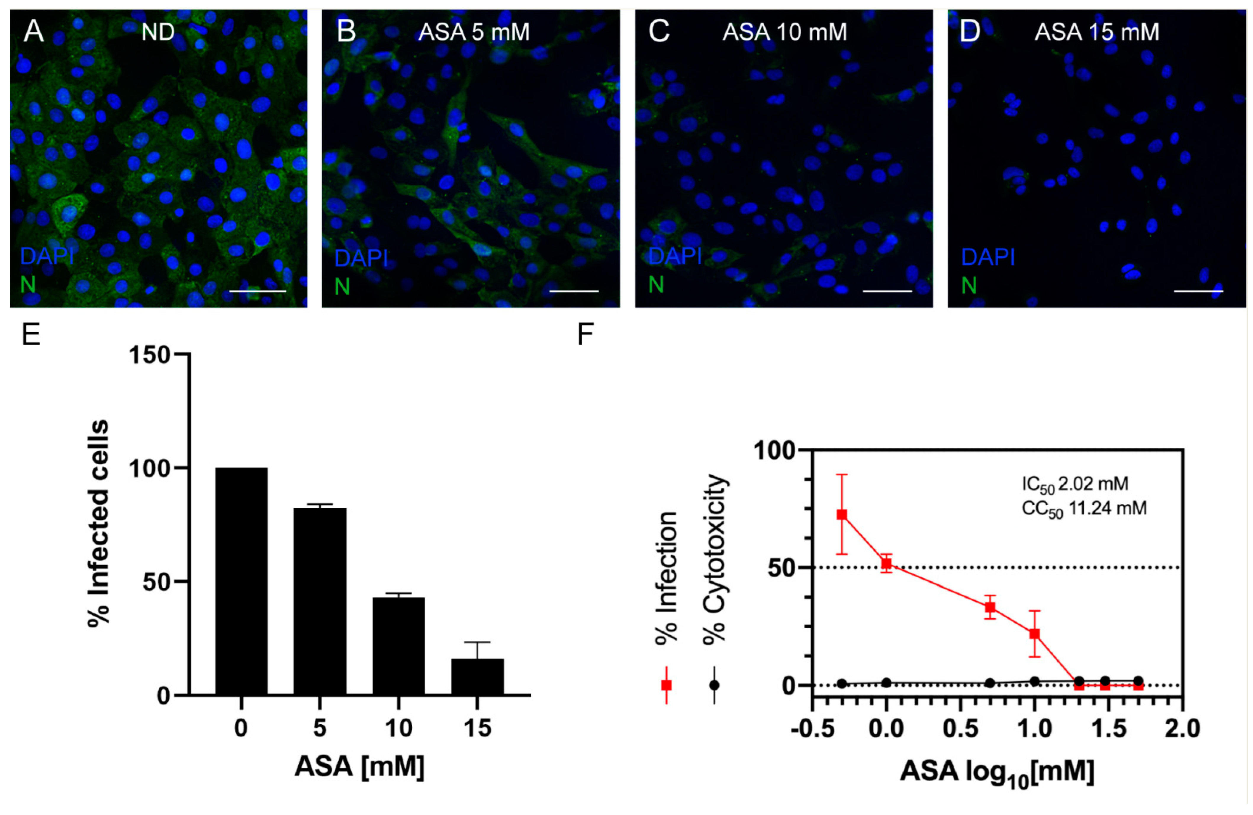 Viruses 15 00948 g002