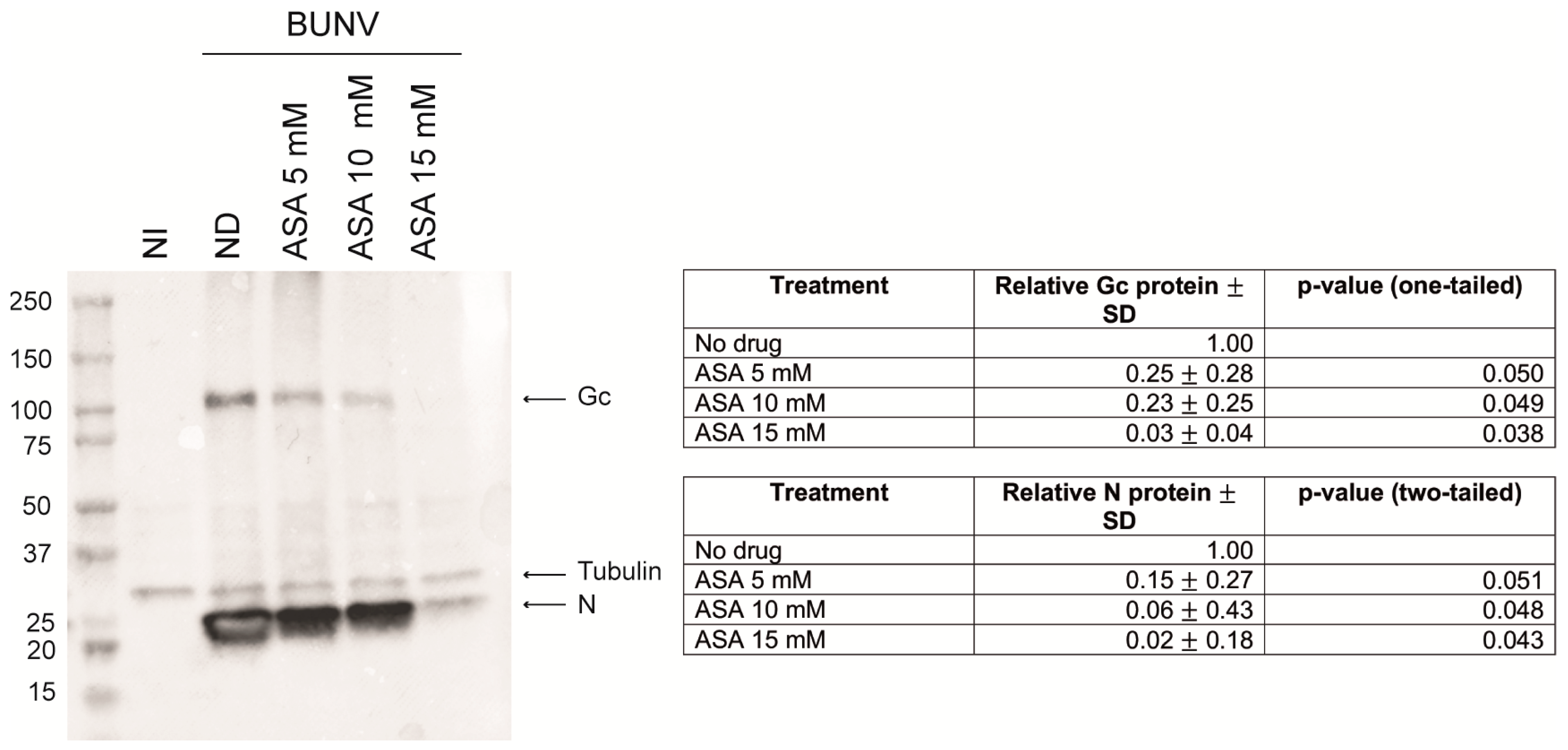 Viruses 15 00948 g004