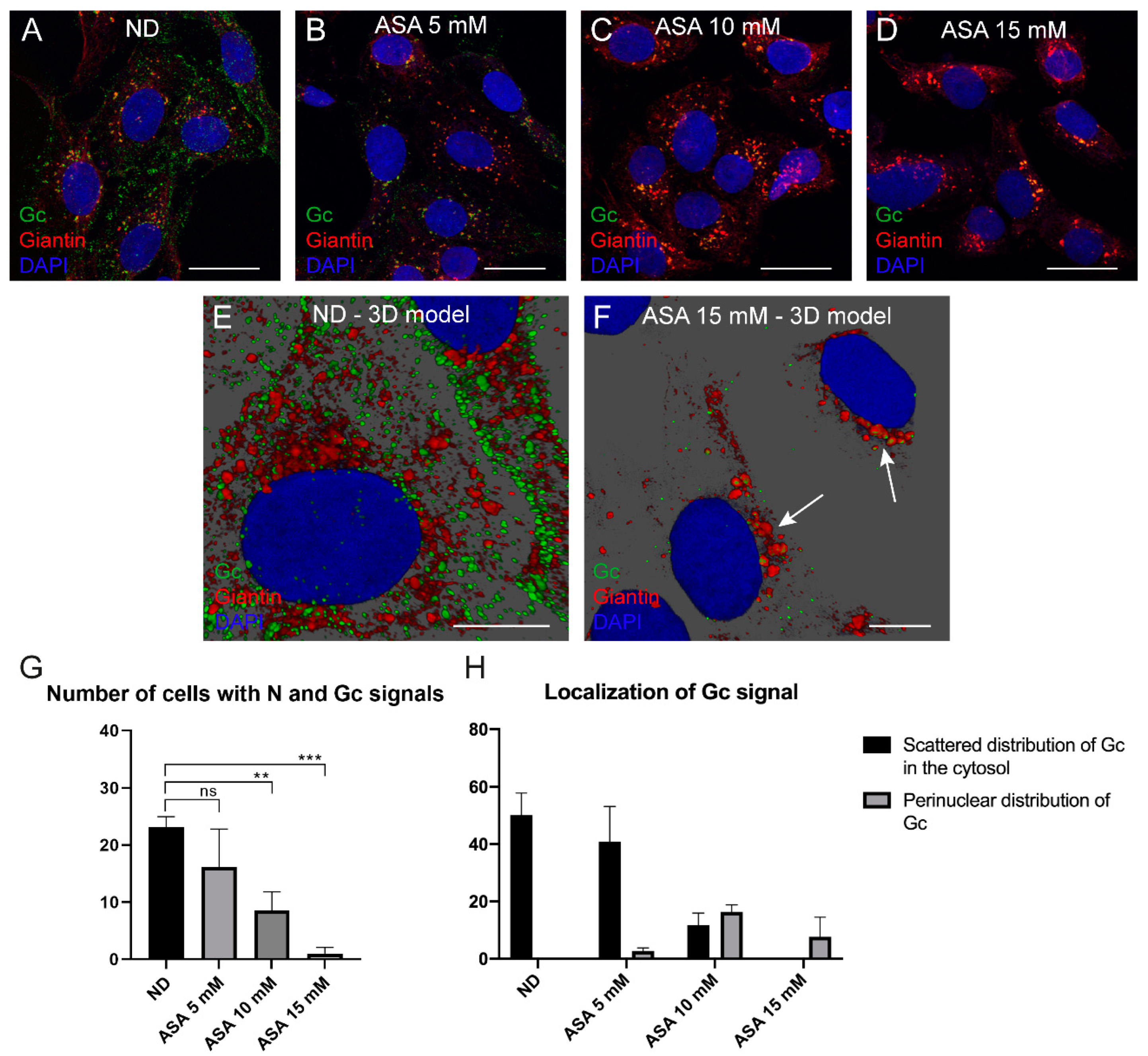 Viruses 15 00948 g005