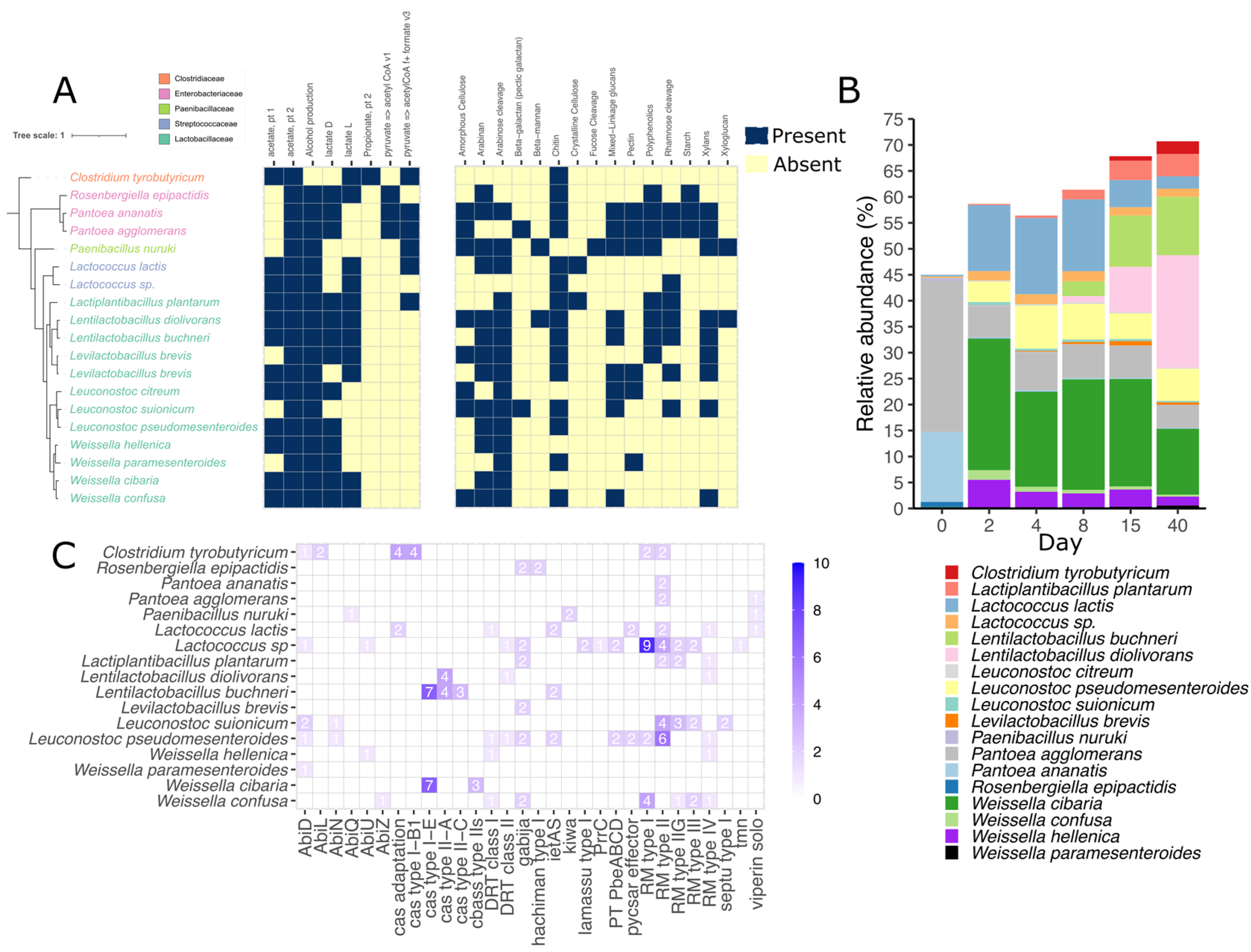 Viruses 15 00951 g003 Viruses 15 00951 g003