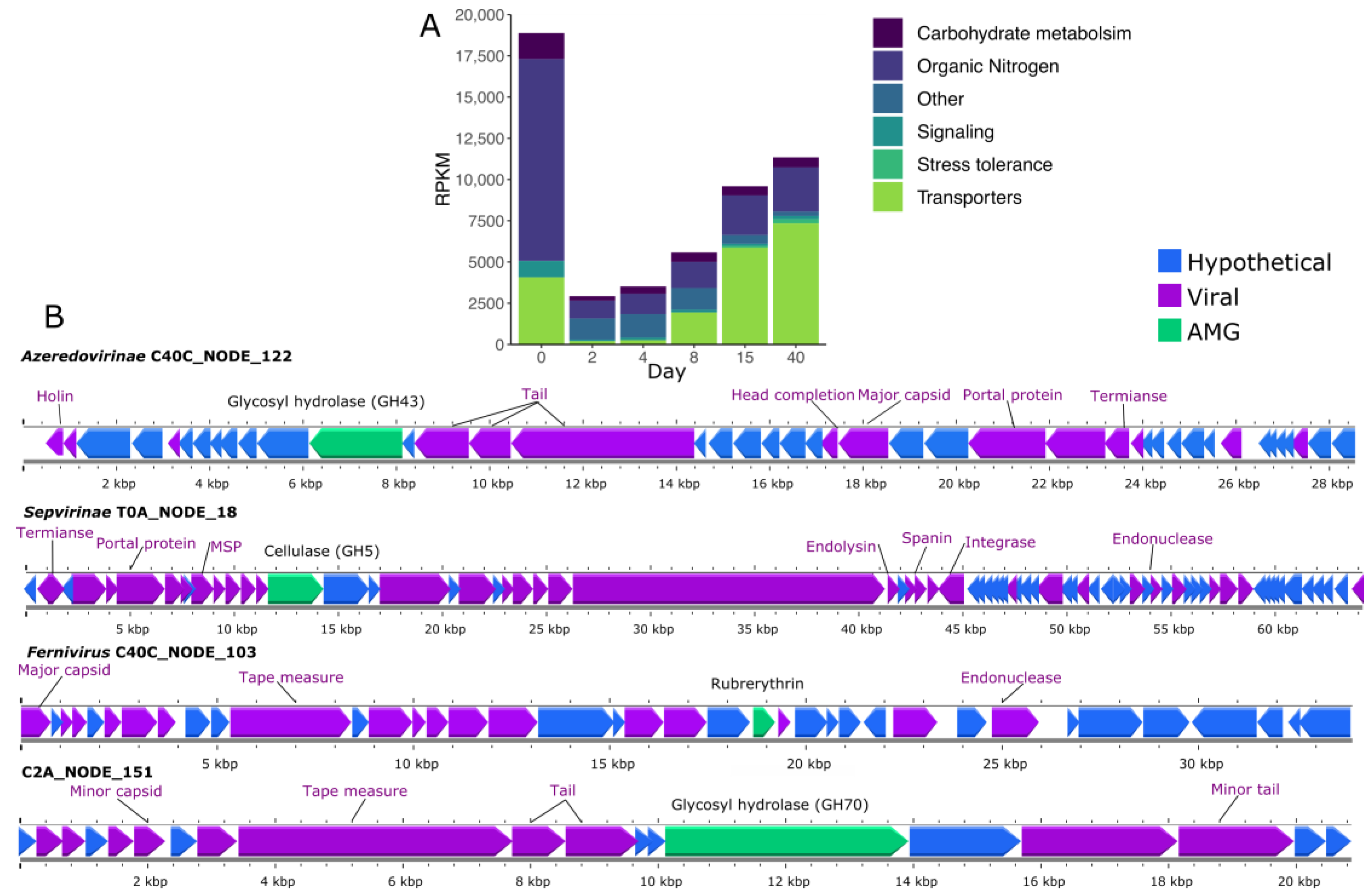 Viruses 15 00951 g007 Viruses 15 00951 g007