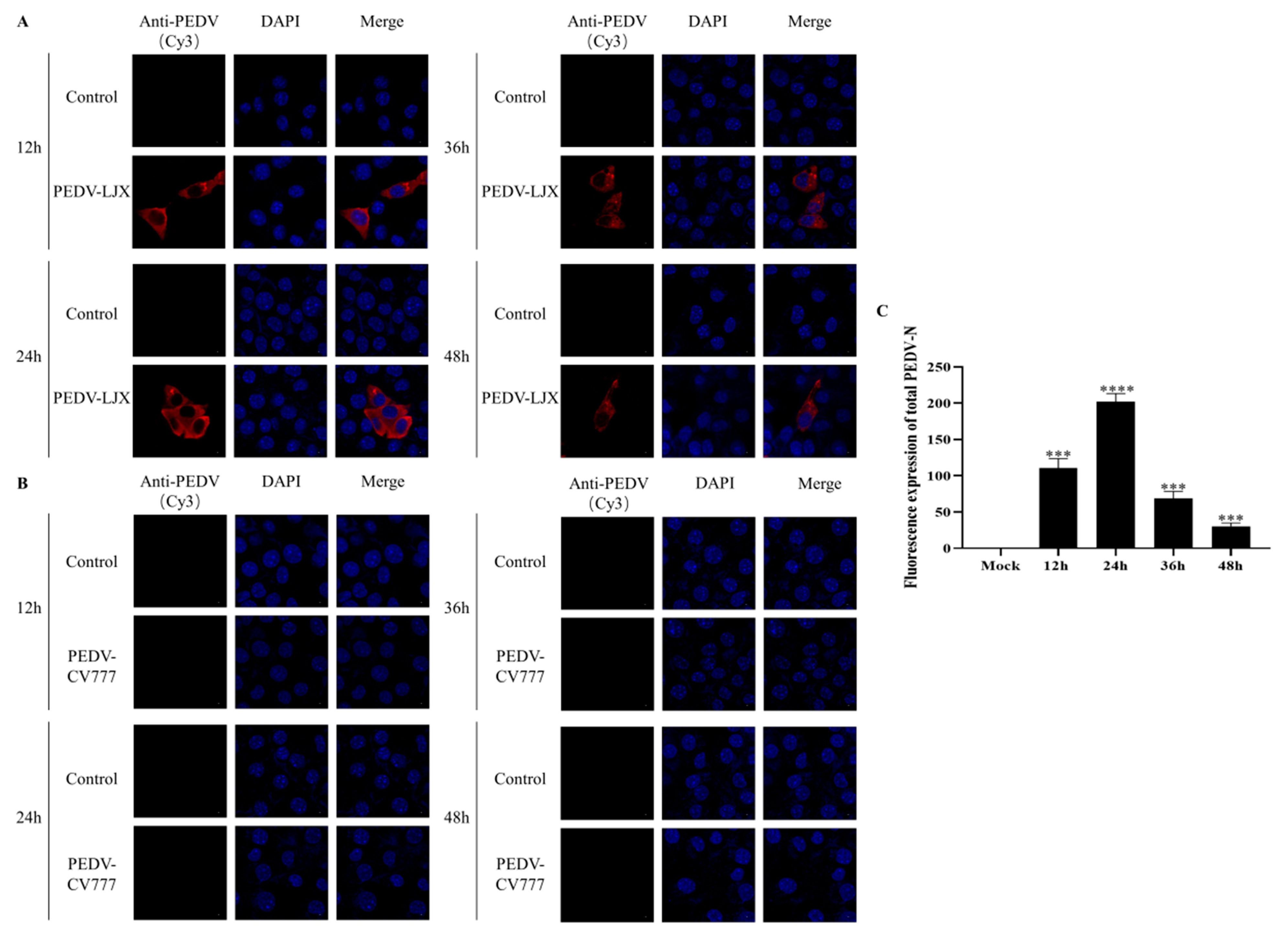 Viruses 15 00956 g002 Viruses 15 00956 g002
