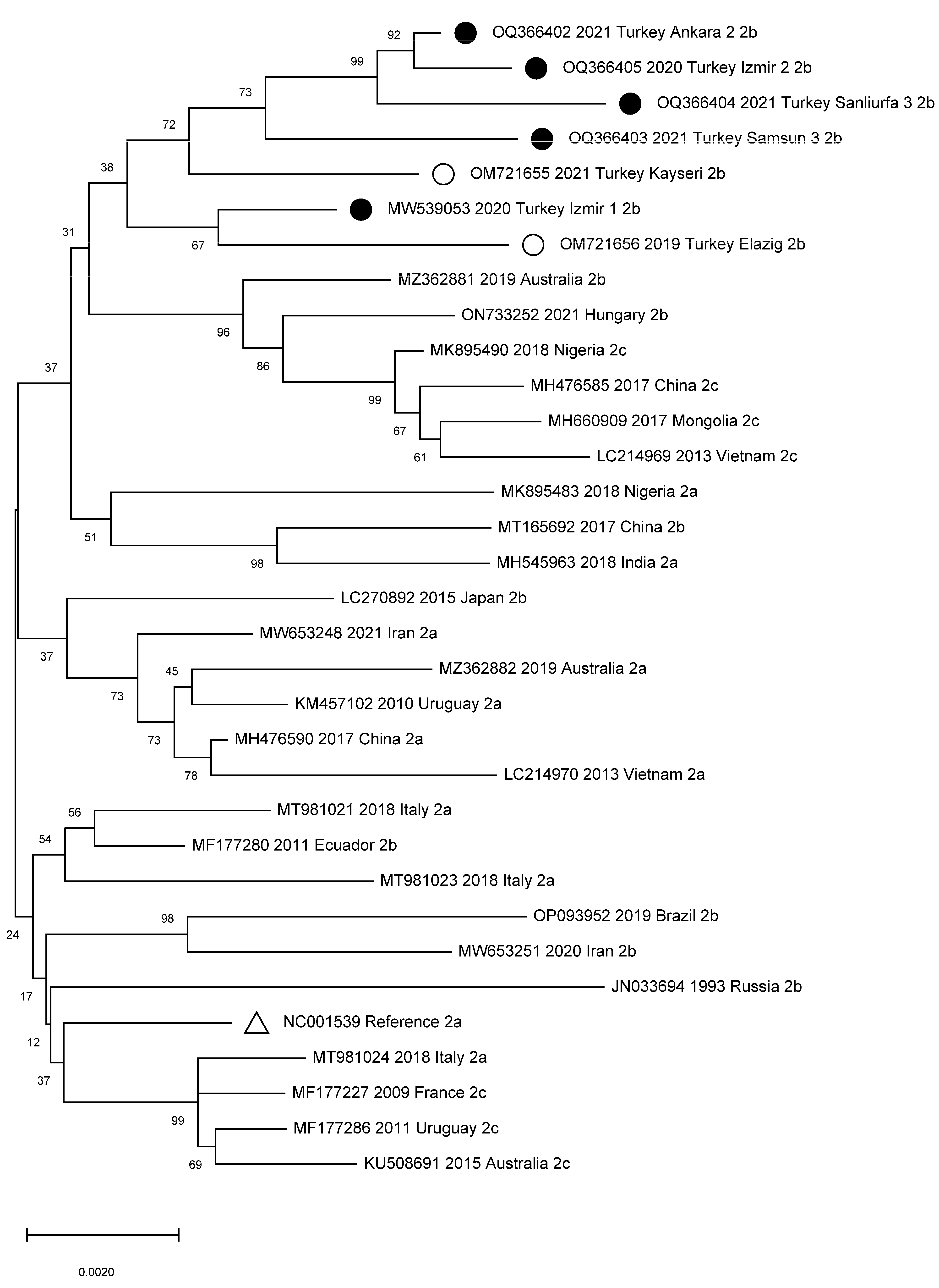 Viruses 15 00957 g002 Viruses 15 00957 g002