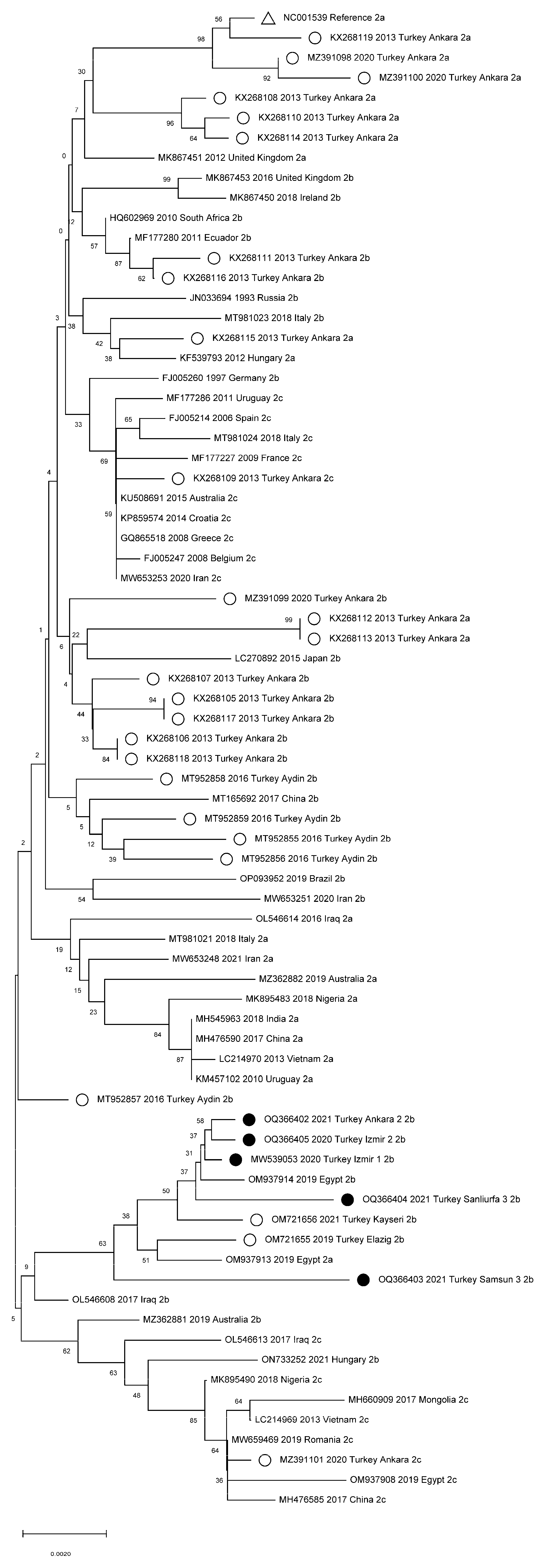 Viruses 15 00957 g003 Viruses 15 00957 g003