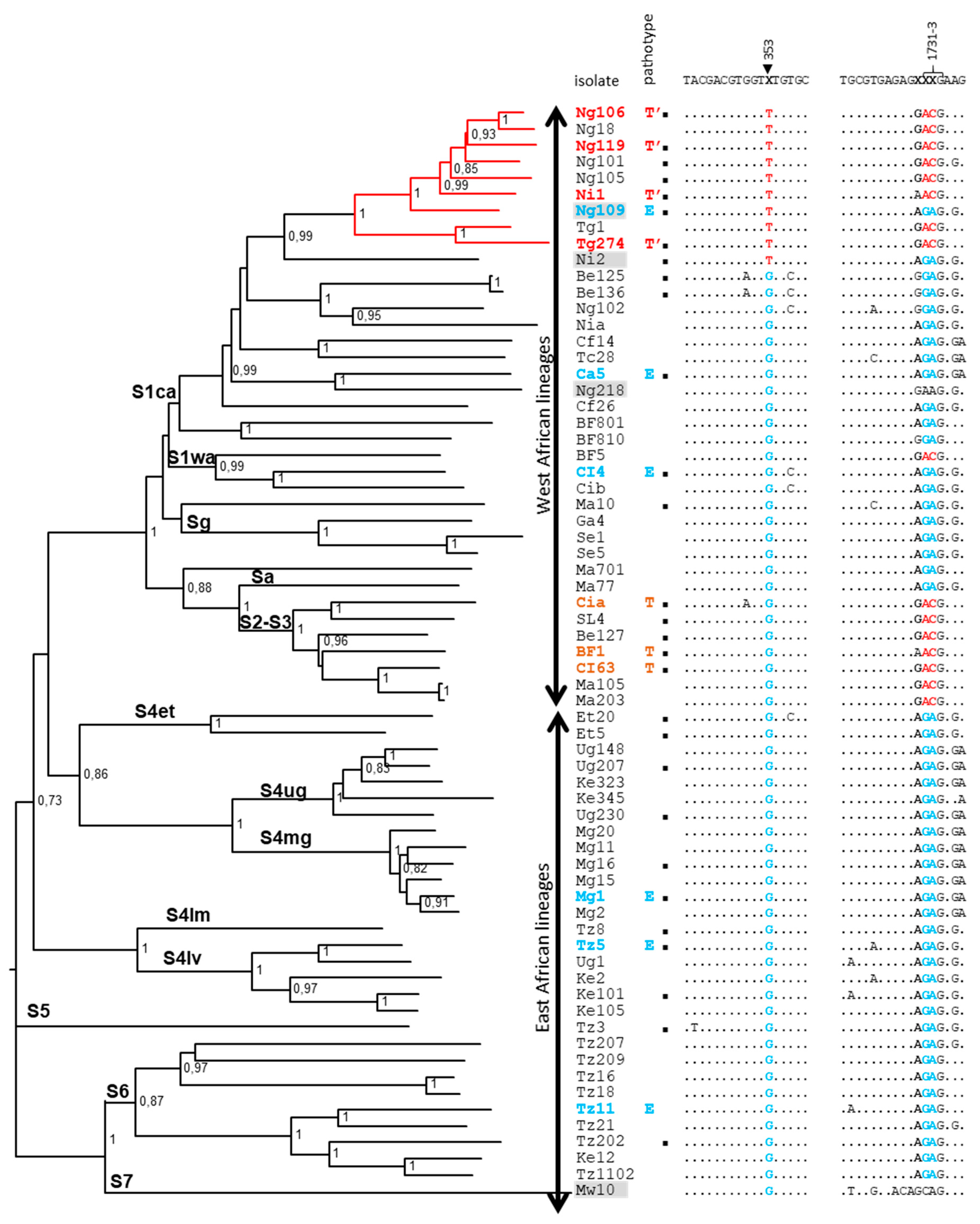 Viruses 15 00959 g001 Viruses 15 00959 g001