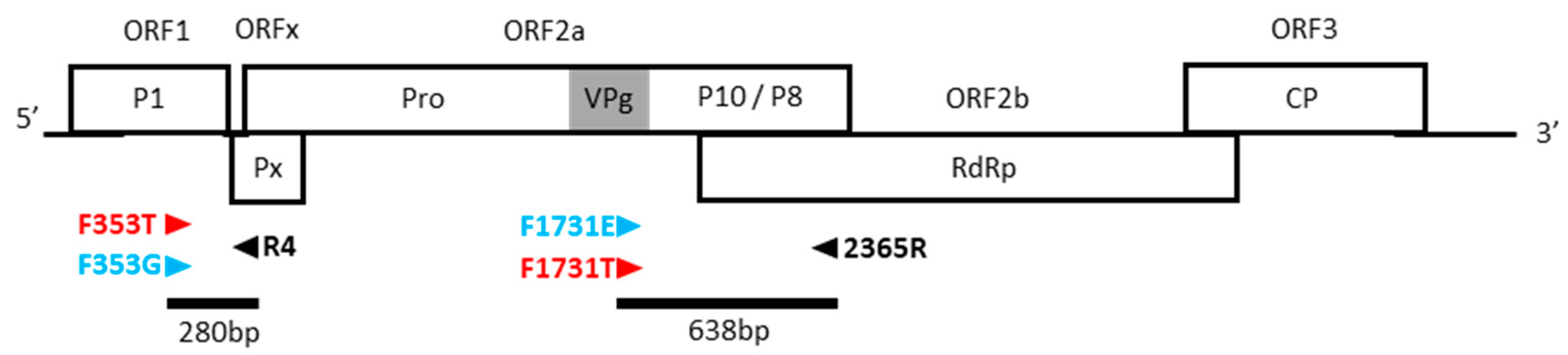 Viruses 15 00959 g002 Viruses 15 00959 g002