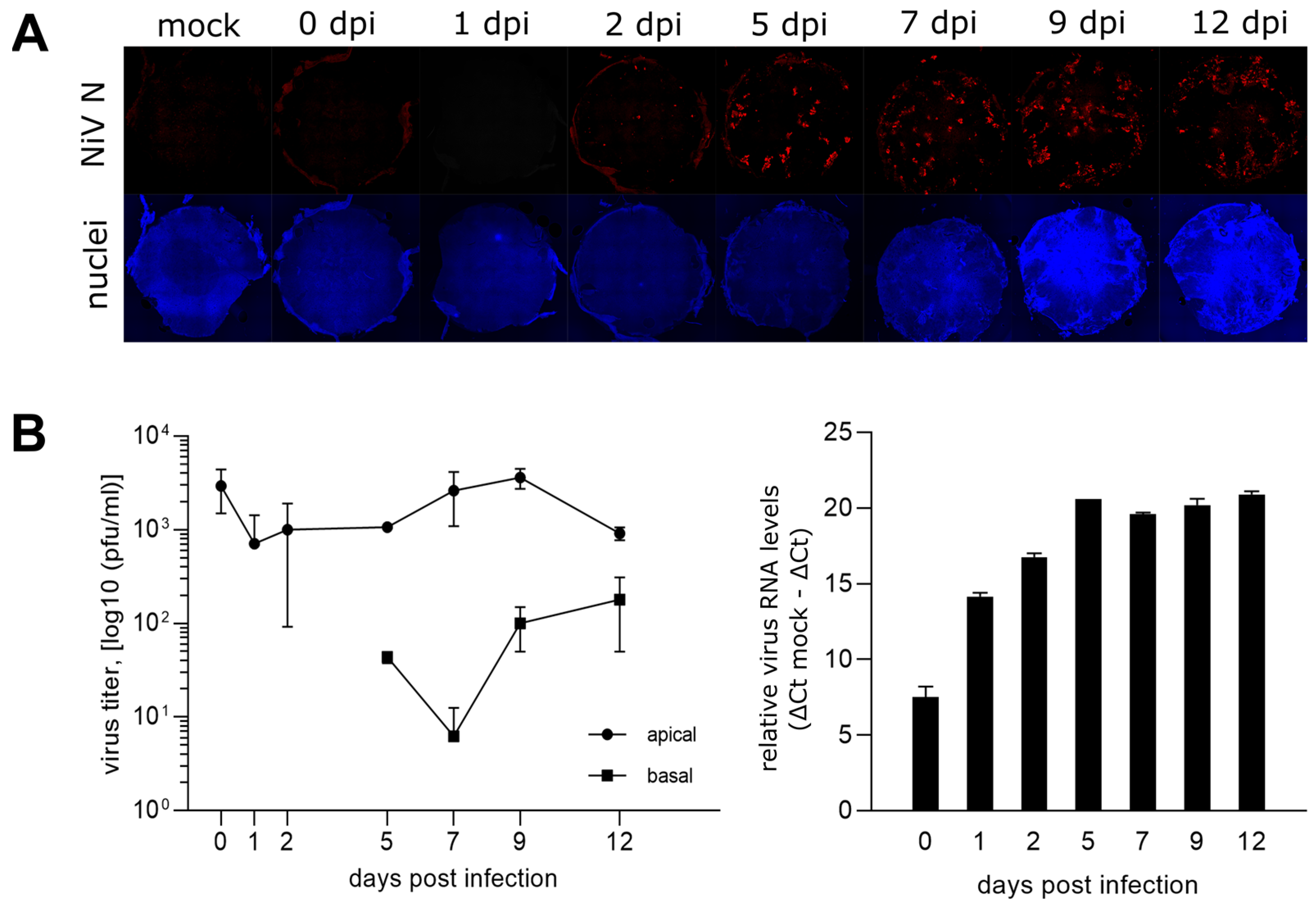 Viruses 15 00961 g002 Viruses 15 00961 g002