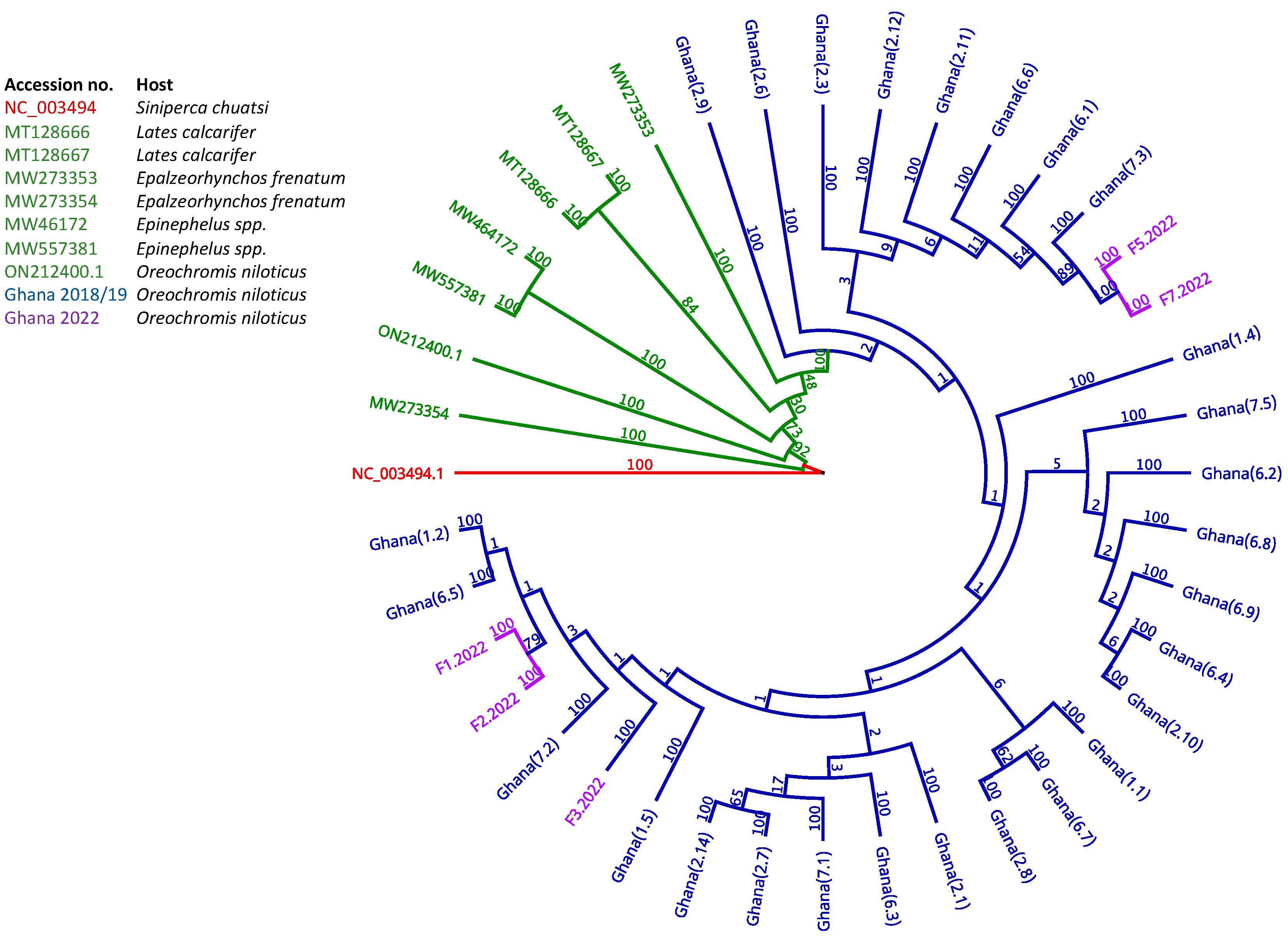 Viruses 15 00965 g003 Viruses 15 00965 g003