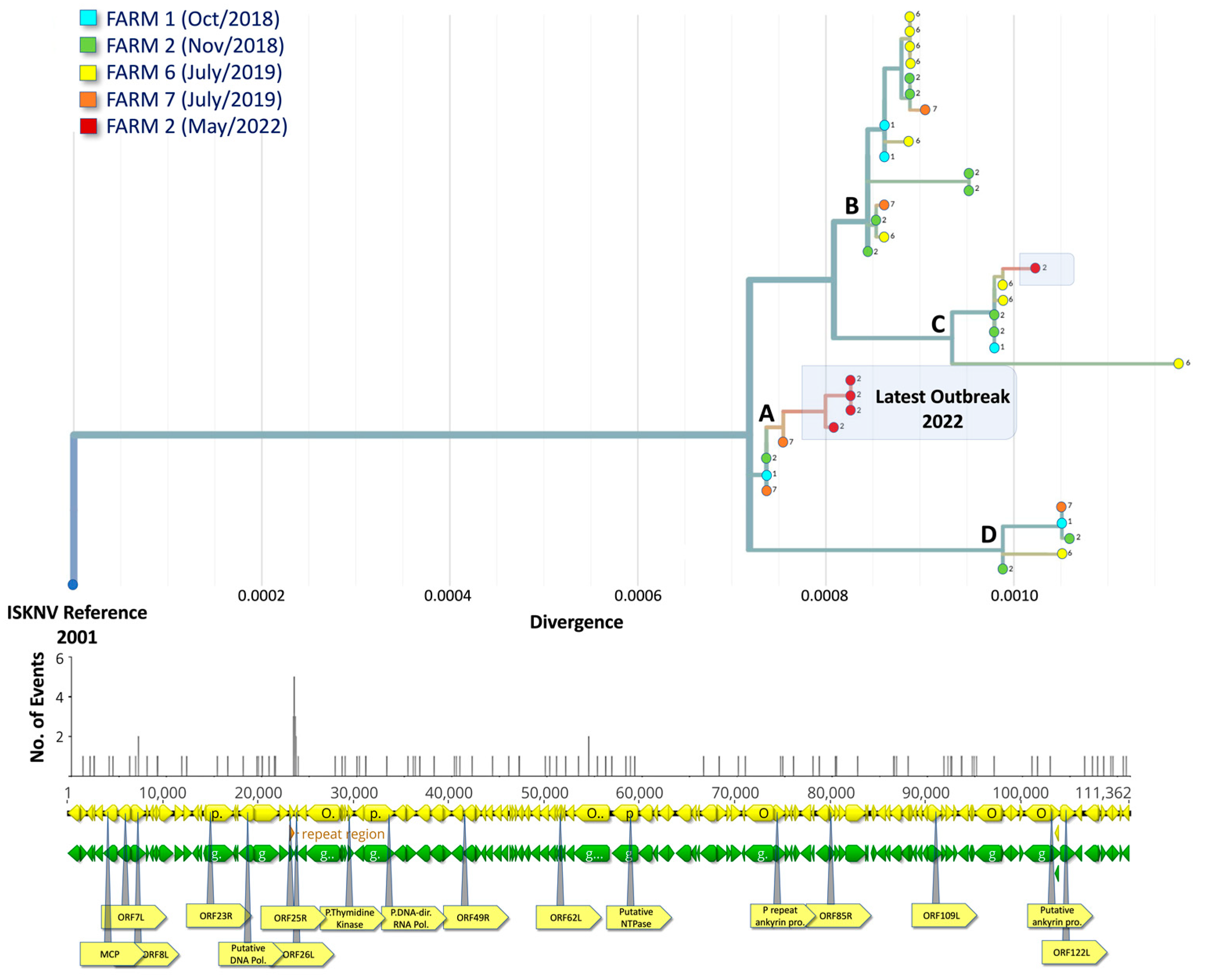 Viruses 15 00965 g004 Viruses 15 00965 g004