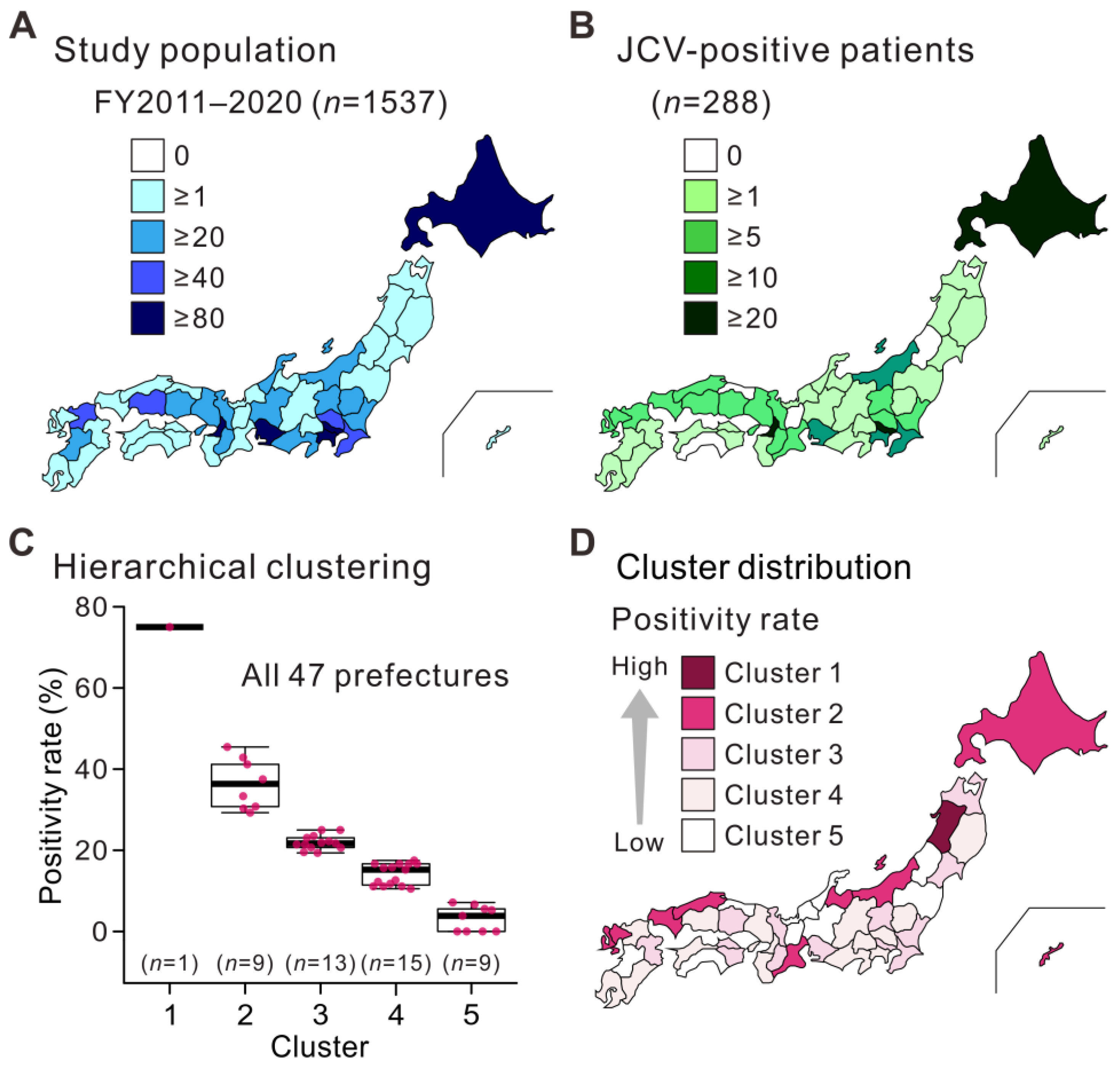 Viruses 15 00968 g002