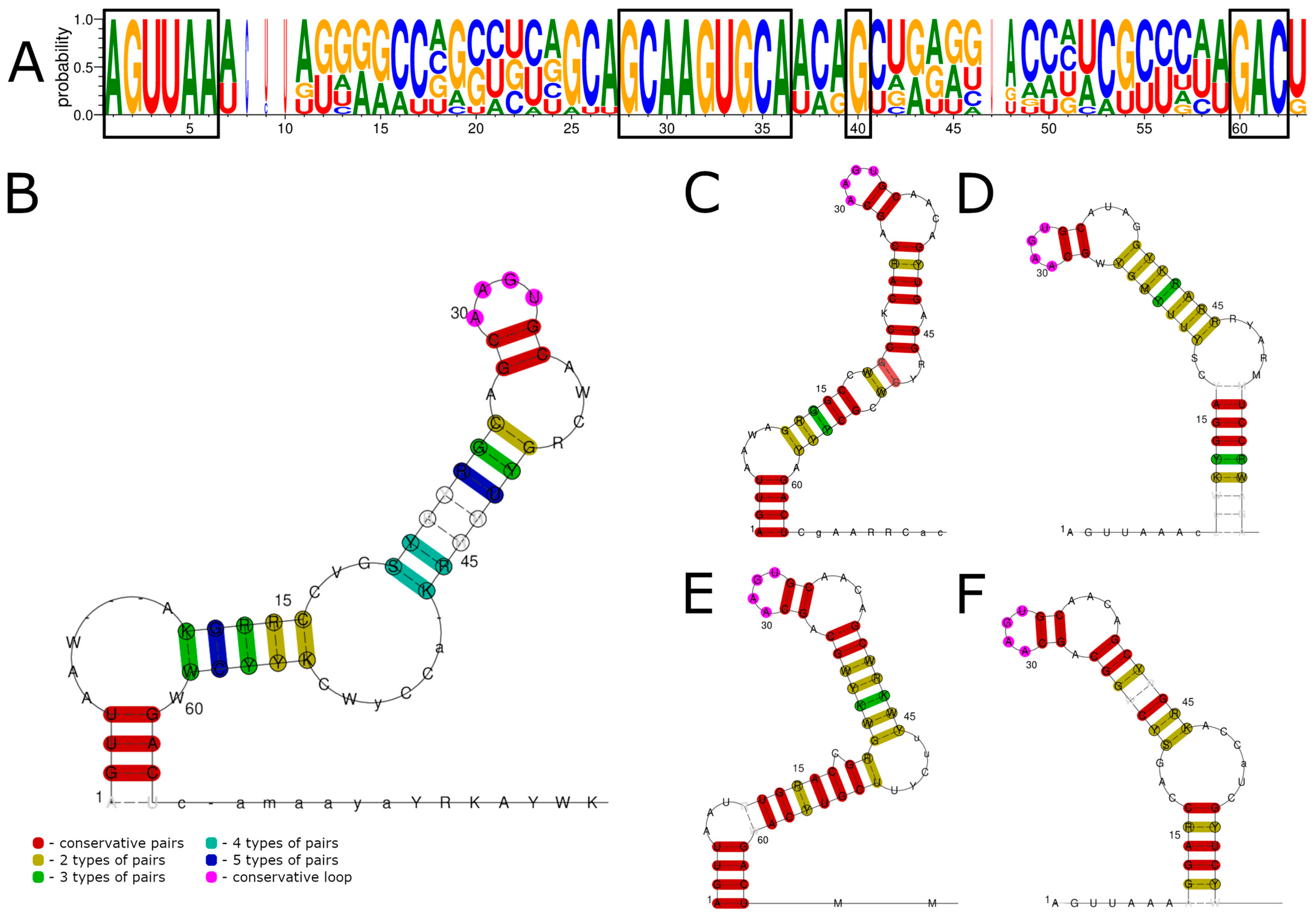 Viruses 15 00971 g001 Viruses 15 00971 g001
